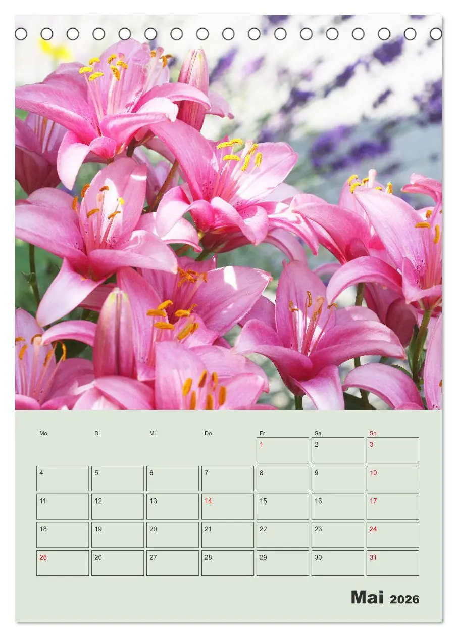 Bild: 9783516397222 | Lilien im Garten (Tischkalender 2026 DIN A5 hoch), CALVENDO...