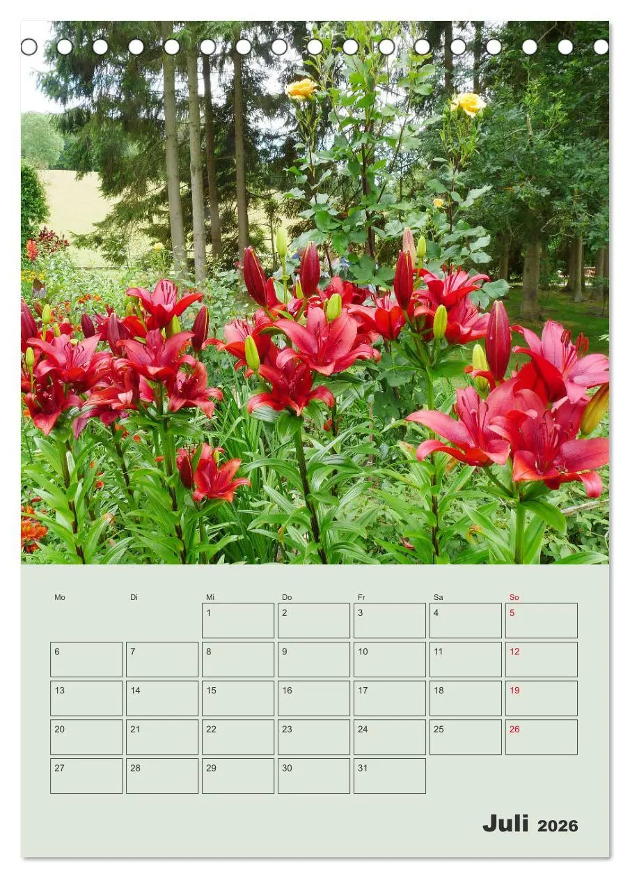 Bild: 9783516397222 | Lilien im Garten (Tischkalender 2026 DIN A5 hoch), CALVENDO...