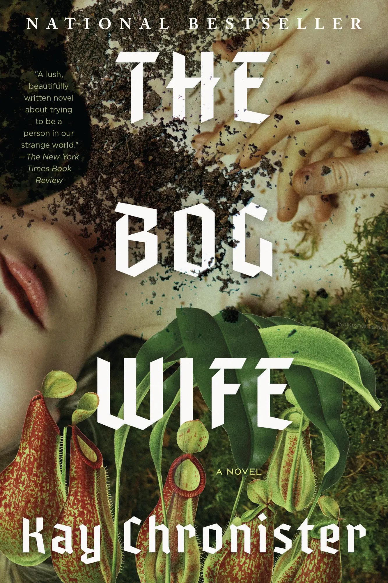 Cover: 9781640097322 | The Bog Wife | Kay Chronister | Taschenbuch | Englisch | 2025