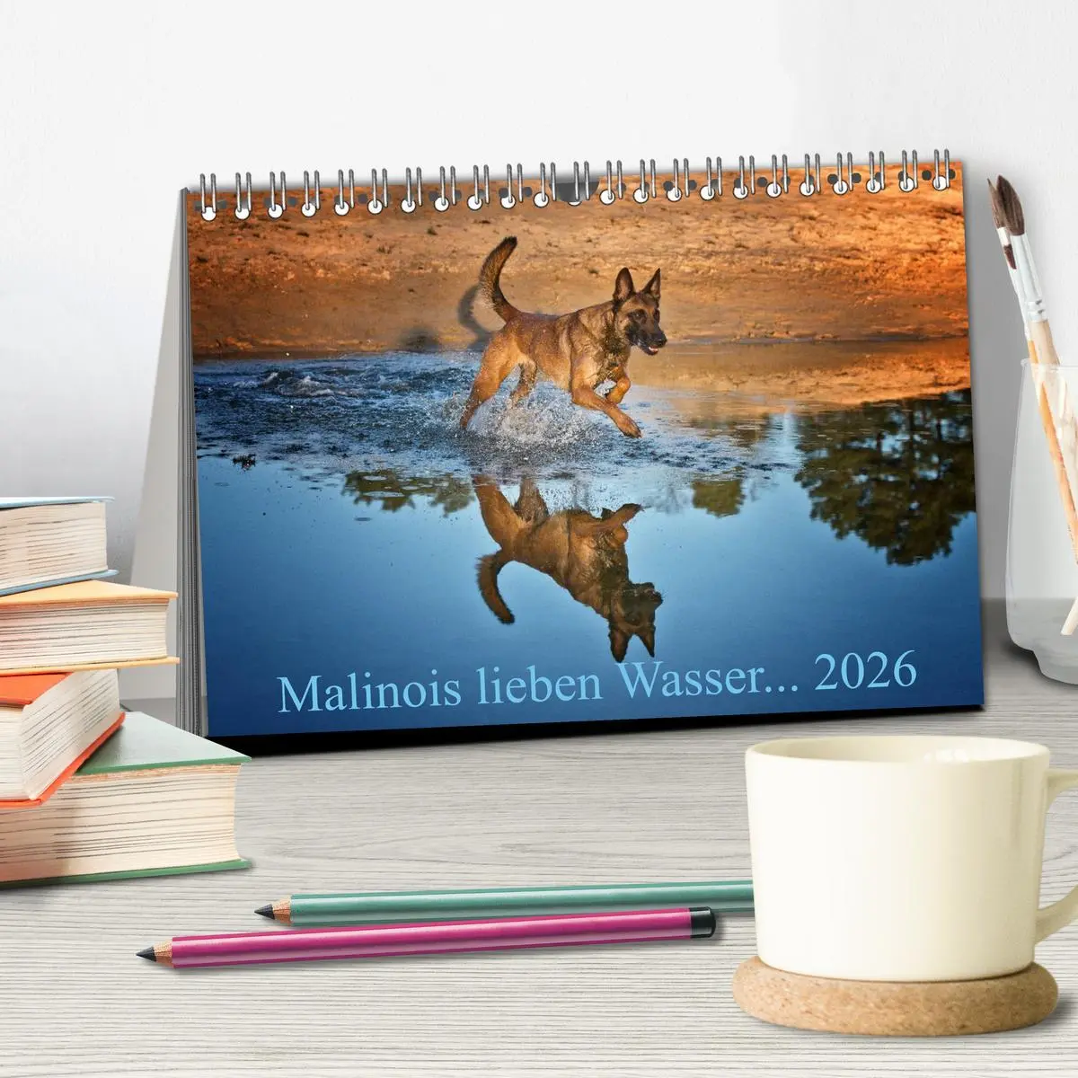 Bild: 9783457987322 | Malinois lieben Wasser (Tischkalender 2026 DIN A5 quer), CALVENDO...