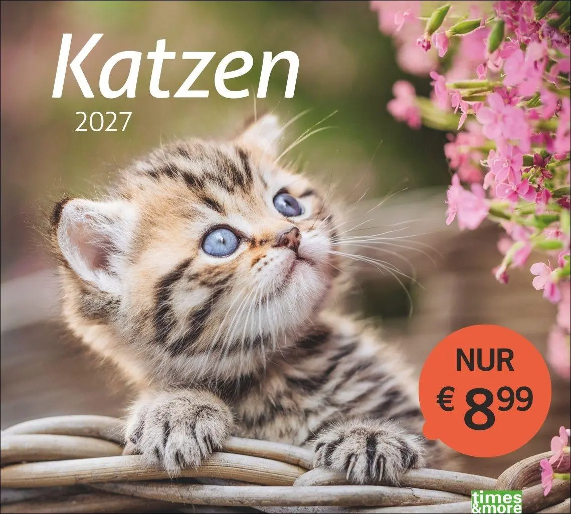 Cover: 9783756417322 | times&amp;more Katzen Bildkalender 2027 | Heye | Kalender | Spiralbindung