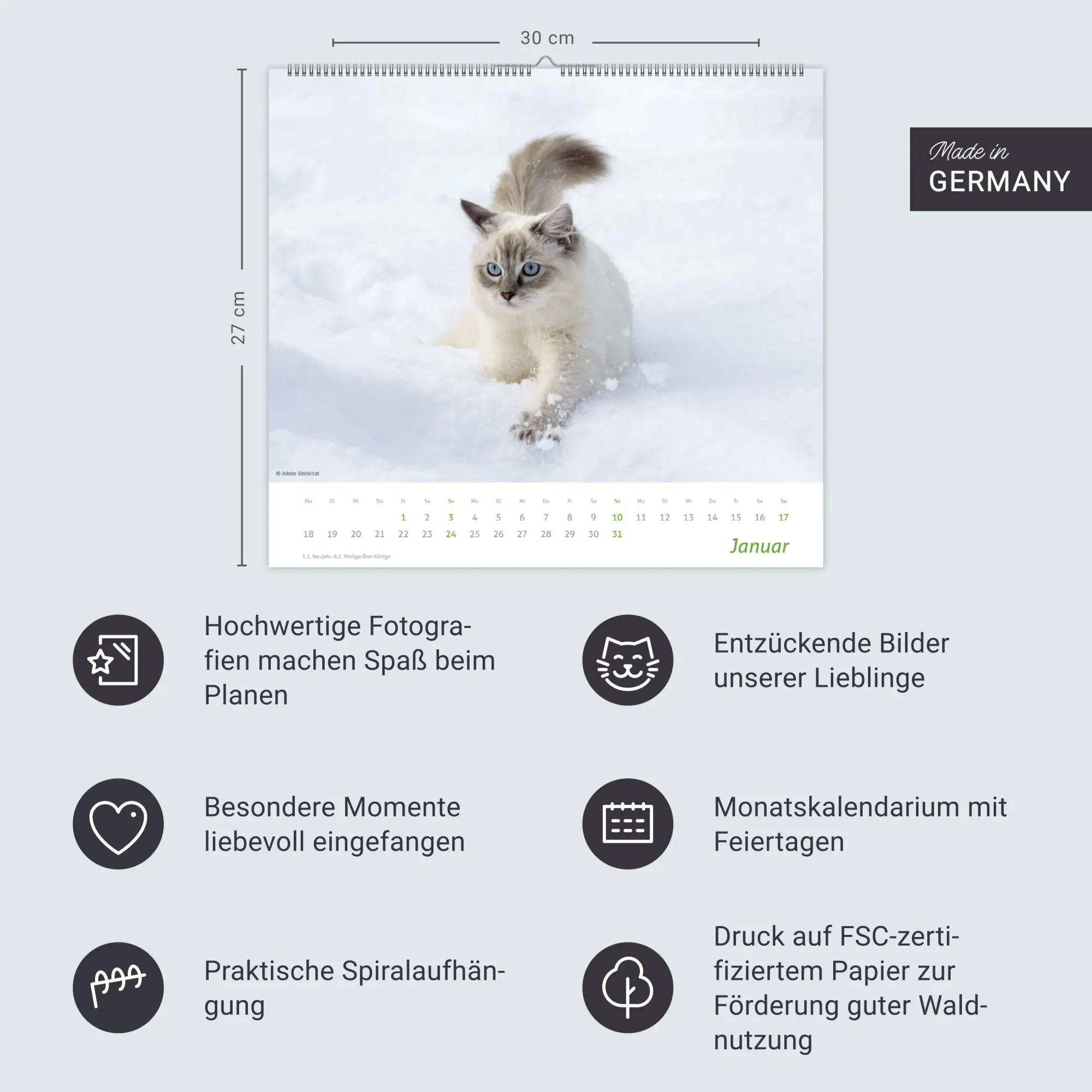Bild: 9783756417322 | times&amp;more Katzen Bildkalender 2027 | Heye | Kalender | Spiralbindung