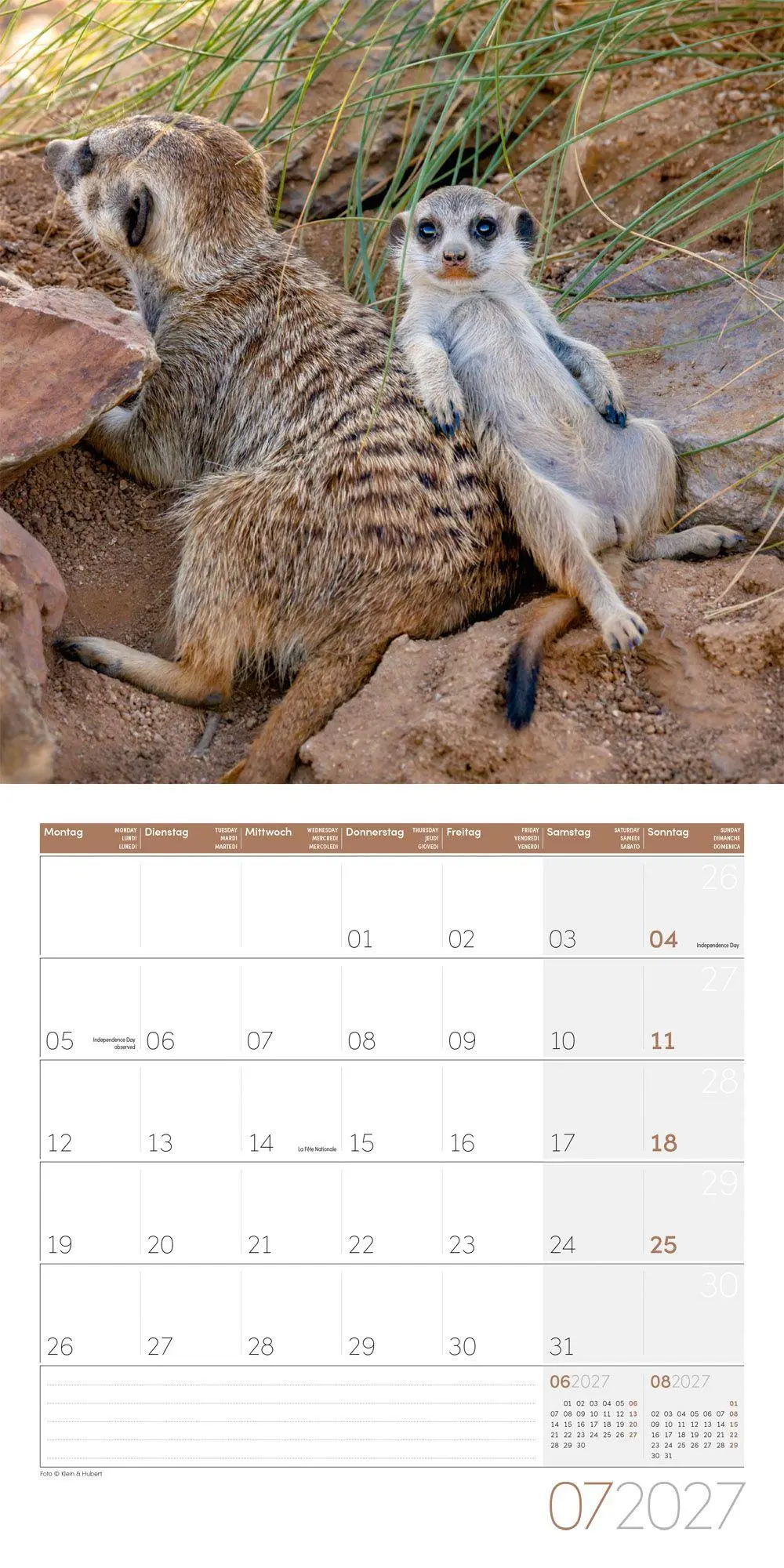 Bild: 9783838447322 | Erdmännchen Kalender 2027 - 30x30 - Art12 | Ackermann Kunstverlag GmbH