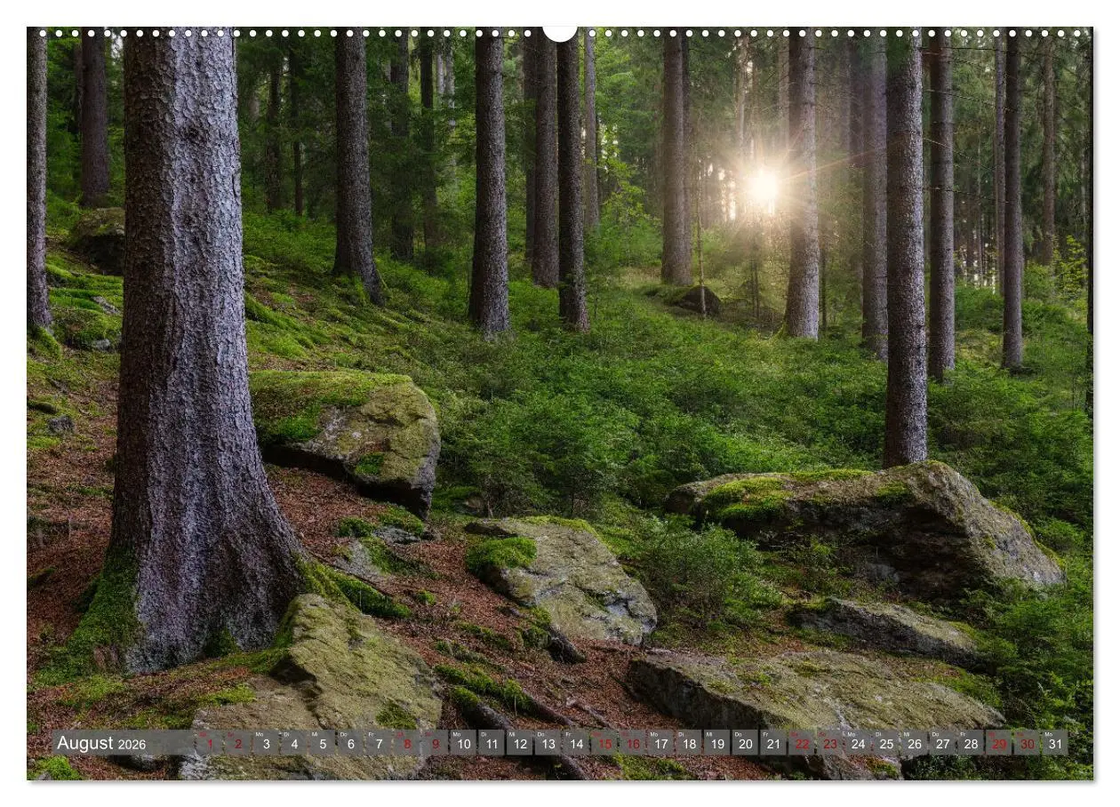 Bild: 9783457287422 | Unterwegs im Erzgebirge - Zwischen Tradition, Kultur und Natur...