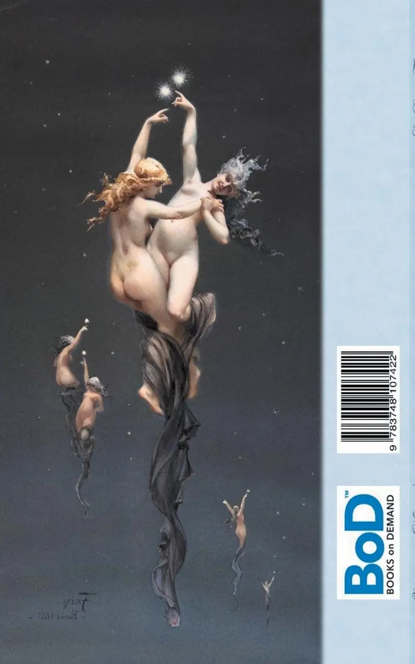 Rückseite: 9783748107422 | Zwillingssterne (Notizbuch) | Luis Ricardo Falero (u. a.) | Buch