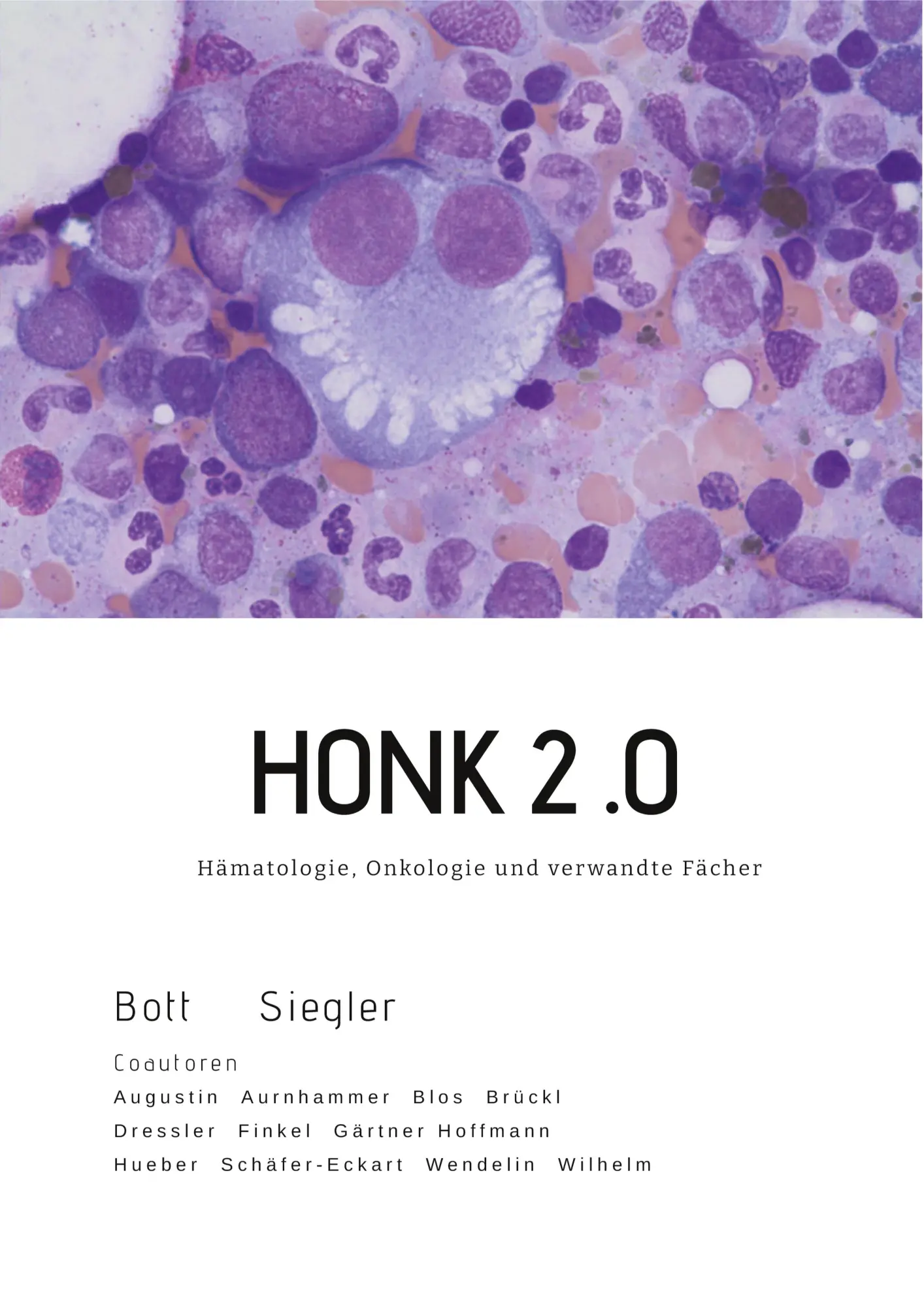 Cover: 9783347527522 | HONK | Hämatologie, Onkologie und verwandte Fächer | Bott (u. a.)
