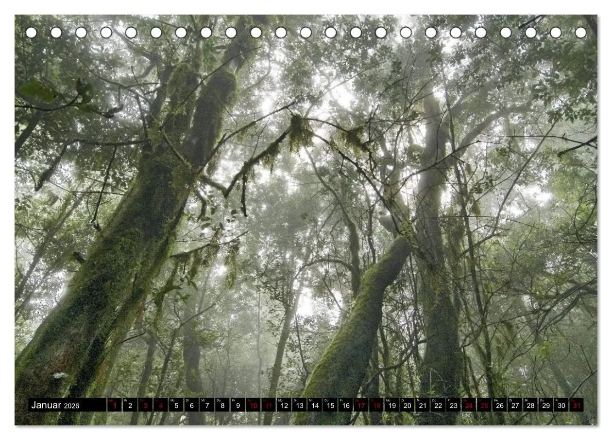Bild: 9783457897522 | La Gomera - Ansichten und Aussichten (Tischkalender 2026 DIN A5...
