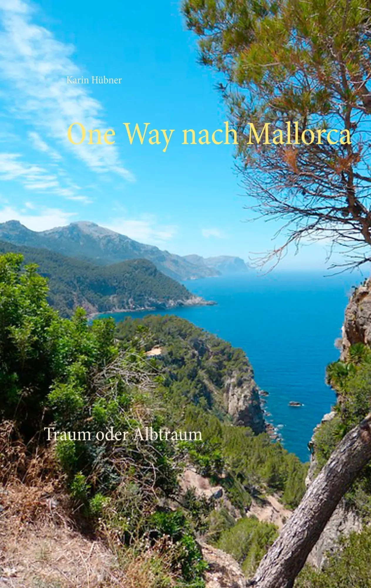 Cover: 9783746047522 | One Way nach Mallorca | Traum oder Albtraum | Karin Hübner | Buch