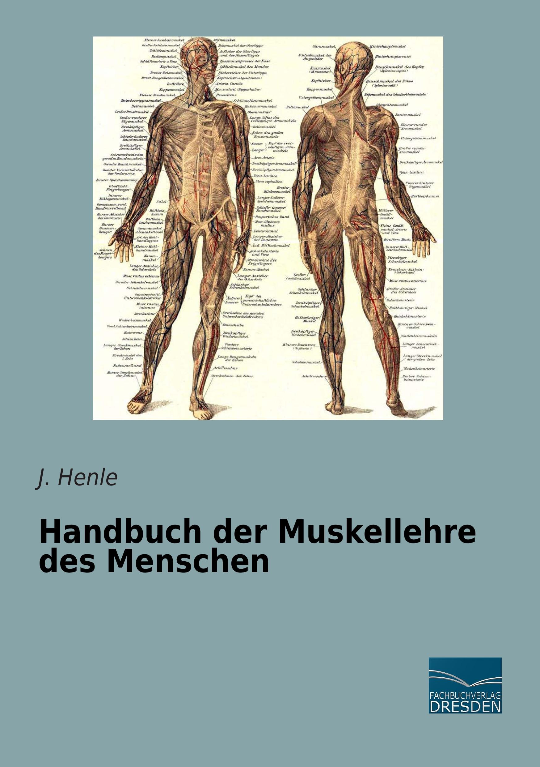 Handbuch der Muskellehre des Menschen | J. Henle | Taschenbuch | Paperback | 328 S. | Deutsch | 2015 | Fachbuchverlag-Dresden | EAN 9783956927522 - Henle, J.