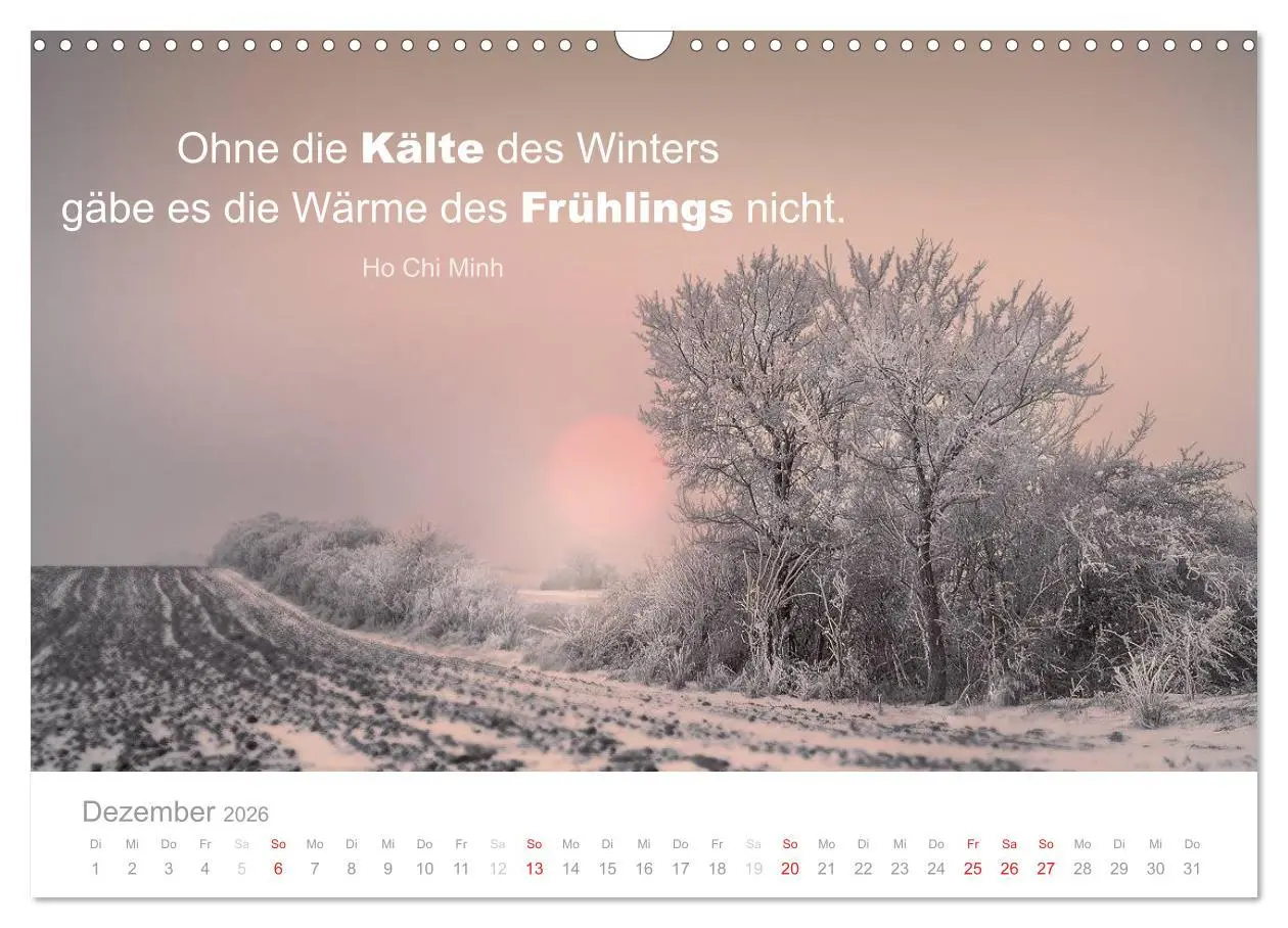 Bild: 9783457957622 | Zauberhafte Sprüche - Bunte Seelenblüten (Wandkalender 2026 DIN A3...