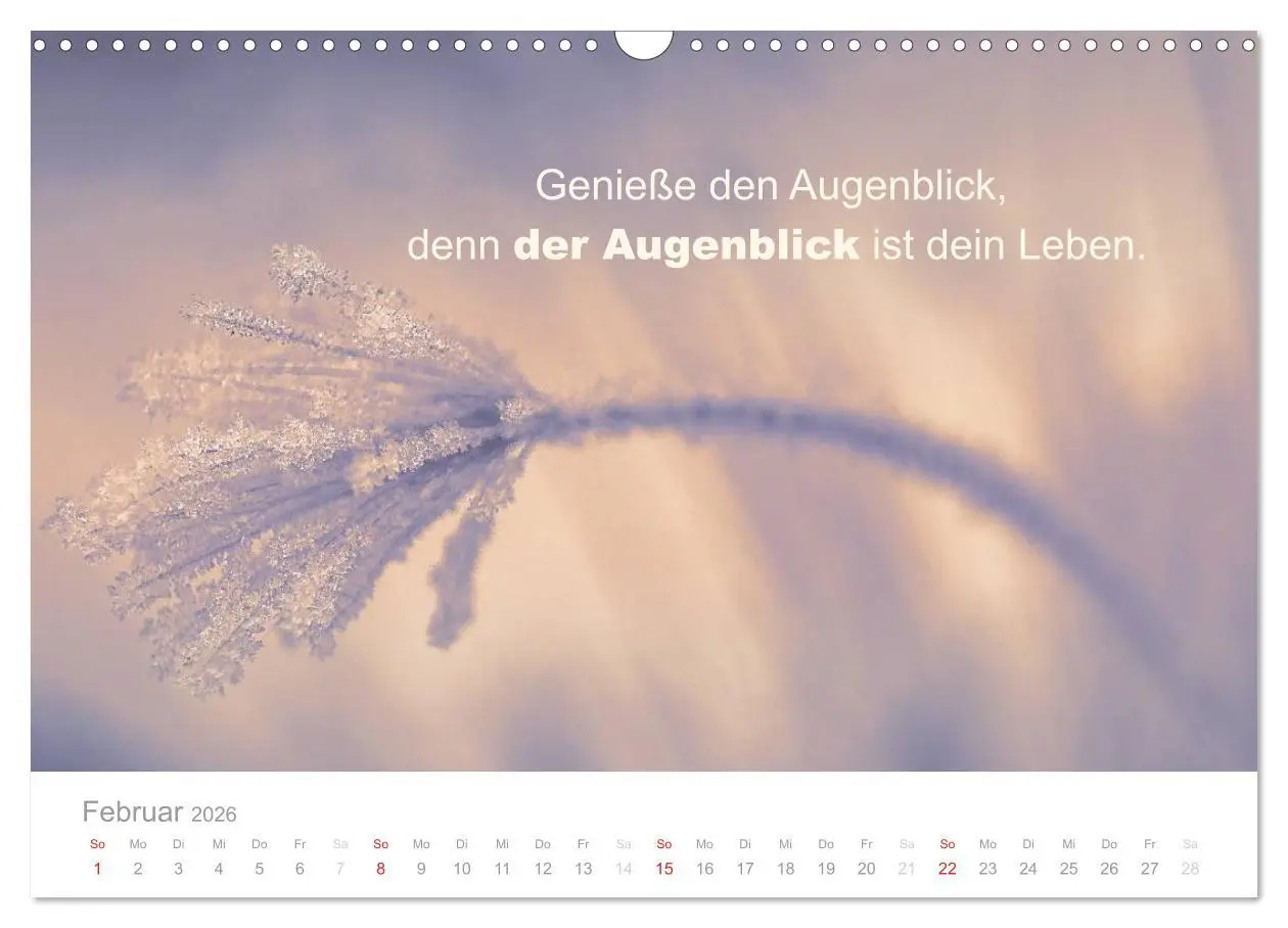 Bild: 9783457957622 | Zauberhafte Sprüche - Bunte Seelenblüten (Wandkalender 2026 DIN A3...