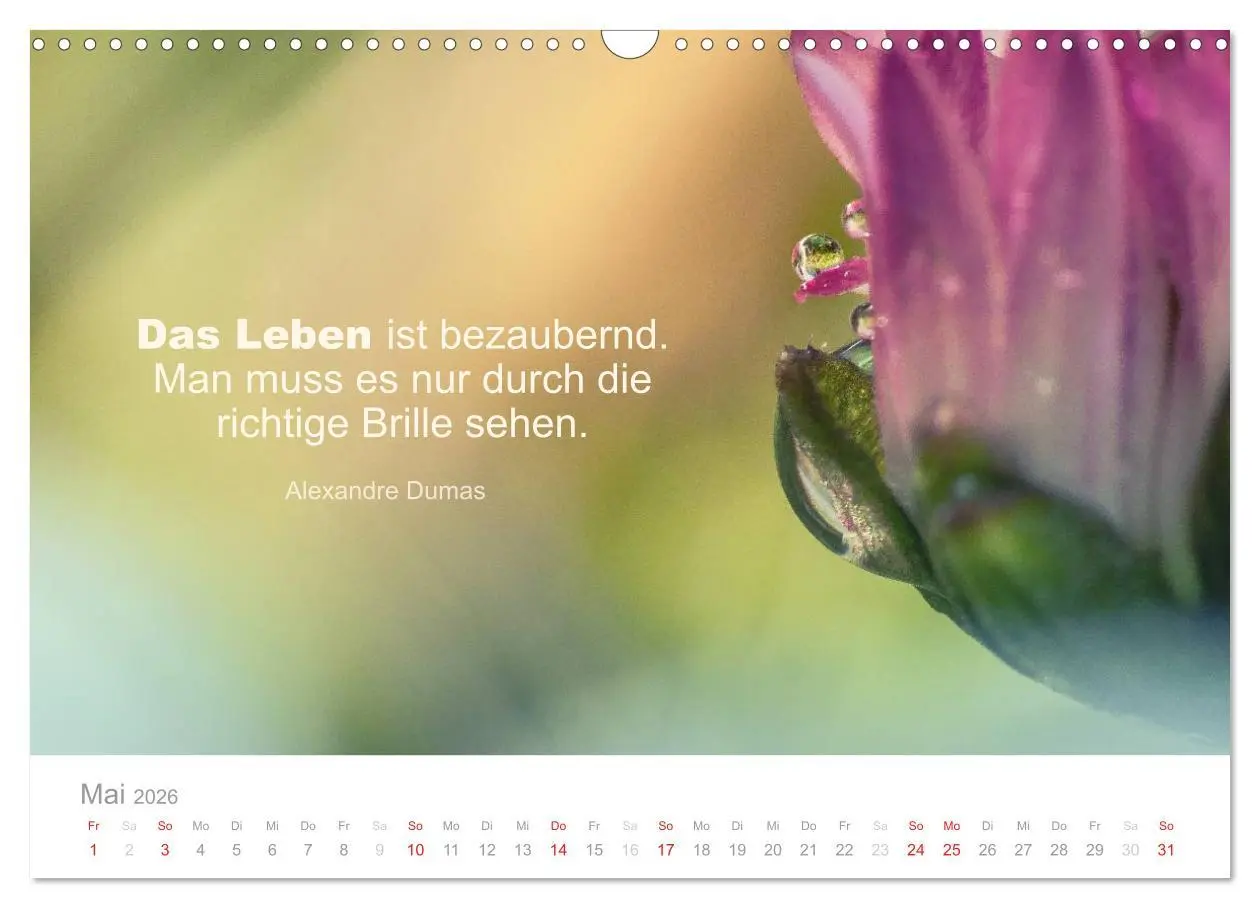 Bild: 9783457957622 | Zauberhafte Sprüche - Bunte Seelenblüten (Wandkalender 2026 DIN A3...