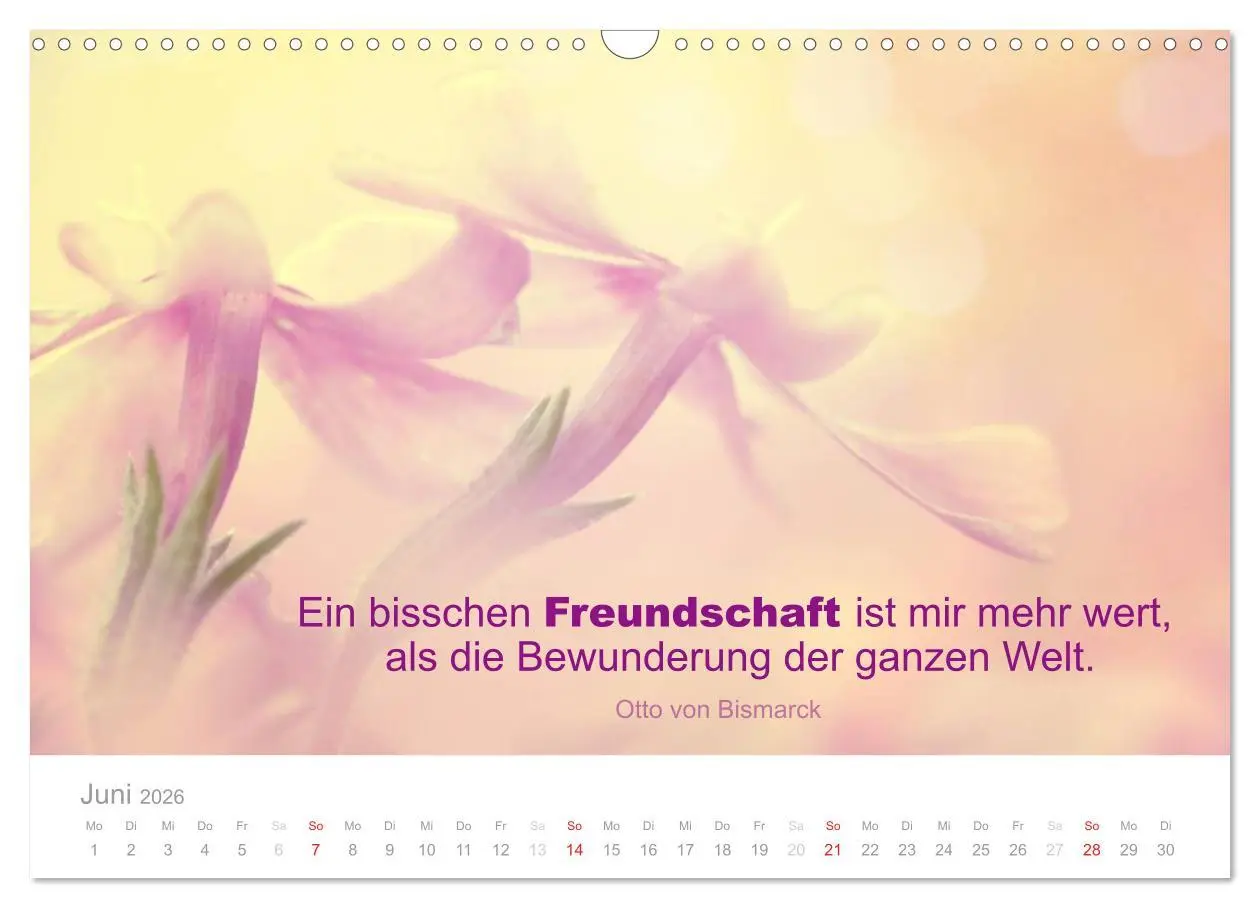Bild: 9783457957622 | Zauberhafte Sprüche - Bunte Seelenblüten (Wandkalender 2026 DIN A3...