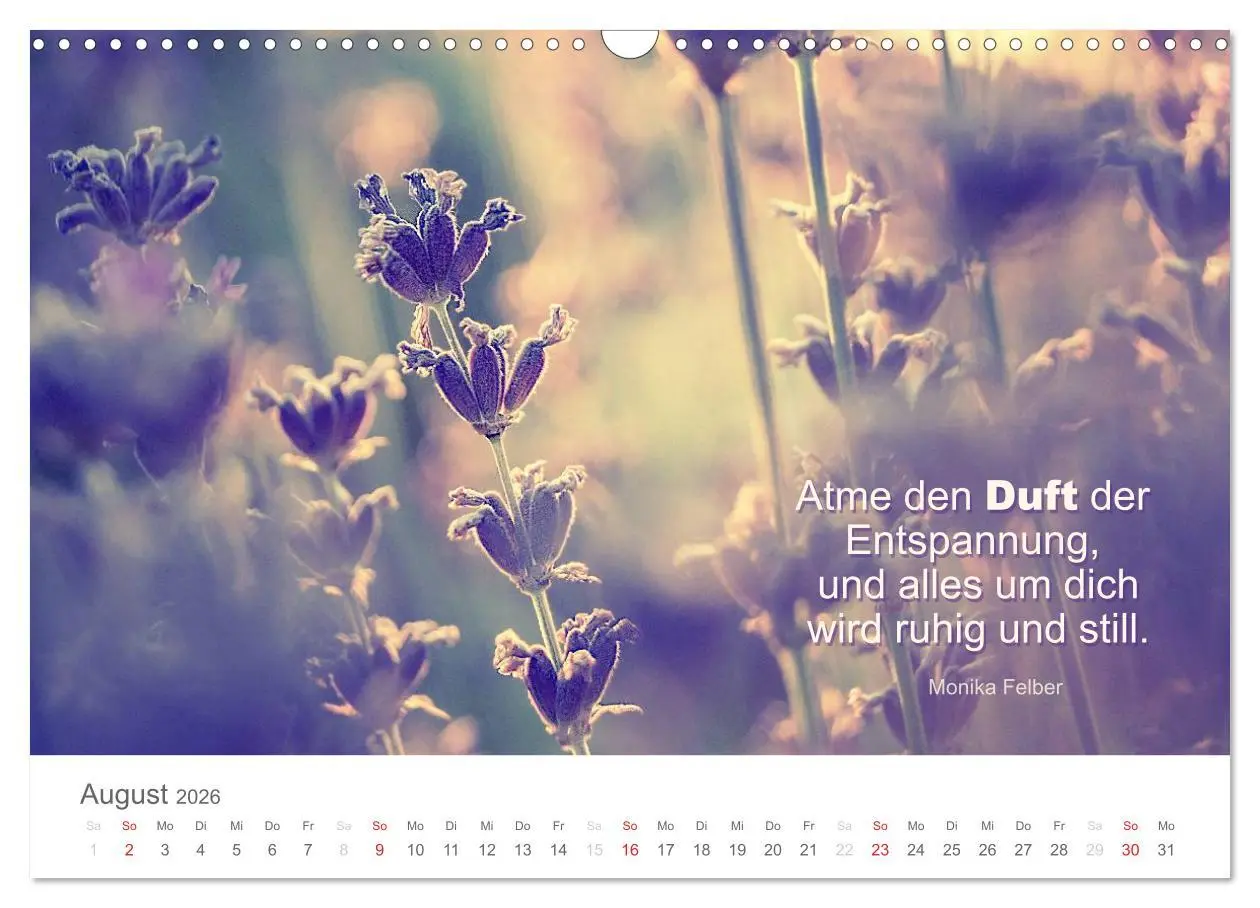 Bild: 9783457957622 | Zauberhafte Sprüche - Bunte Seelenblüten (Wandkalender 2026 DIN A3...