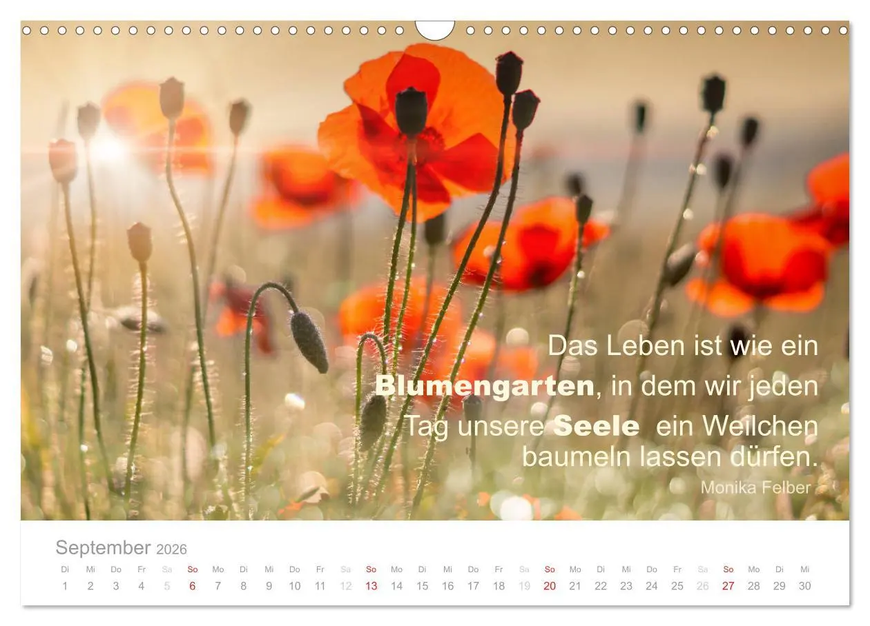 Bild: 9783457957622 | Zauberhafte Sprüche - Bunte Seelenblüten (Wandkalender 2026 DIN A3...