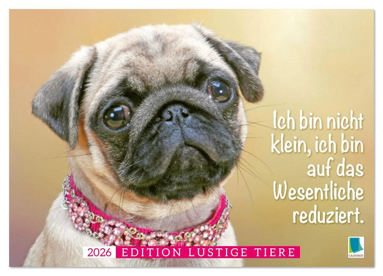 Cover: 9783516597622 | Der Mops: Nicht klein, sondern aufs Wesentliche reduziert....