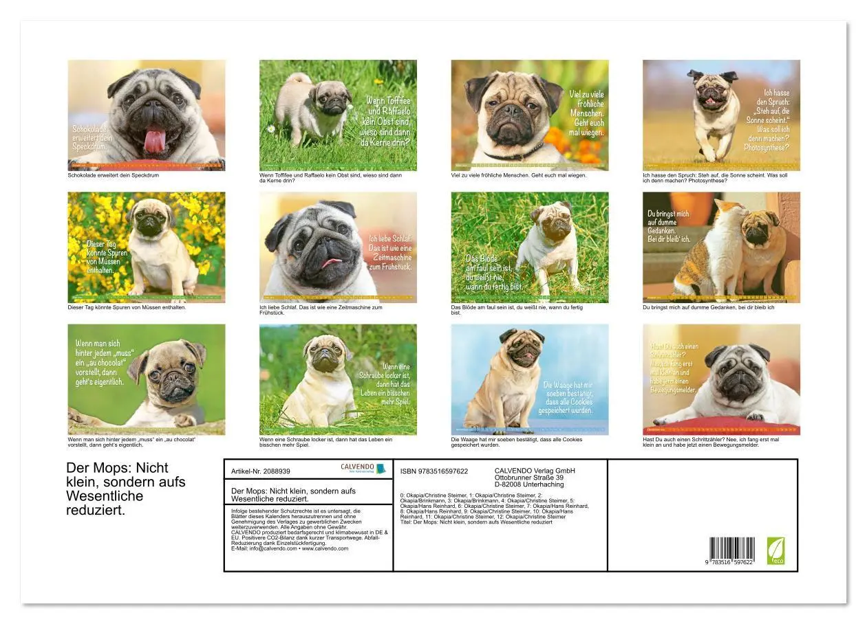 Bild: 9783516597622 | Der Mops: Nicht klein, sondern aufs Wesentliche reduziert....