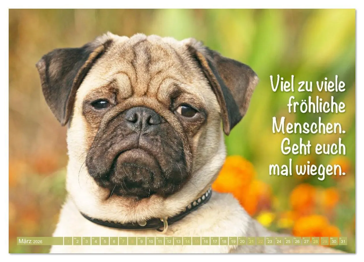 Bild: 9783516597622 | Der Mops: Nicht klein, sondern aufs Wesentliche reduziert....