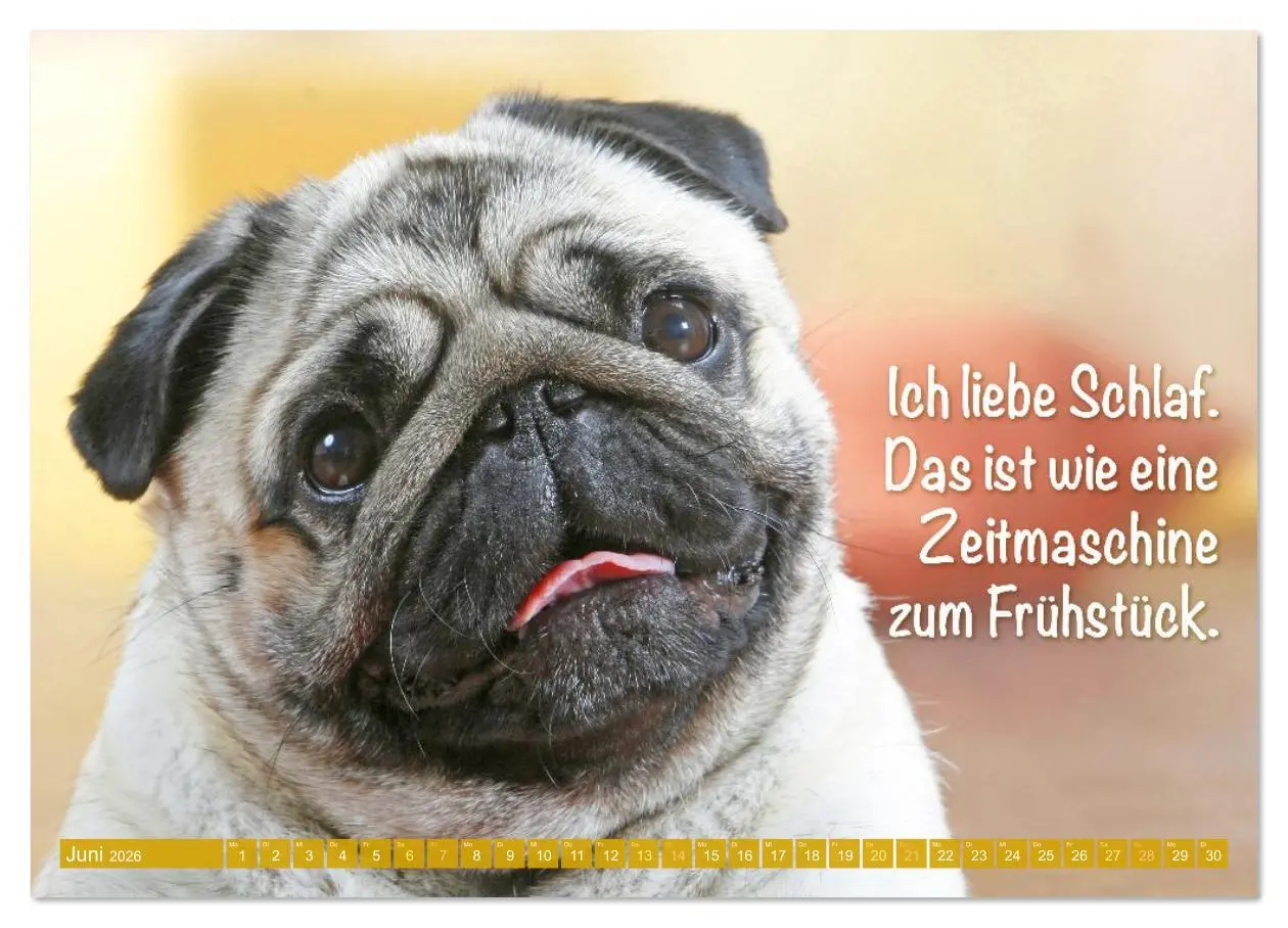 Bild: 9783516597622 | Der Mops: Nicht klein, sondern aufs Wesentliche reduziert....