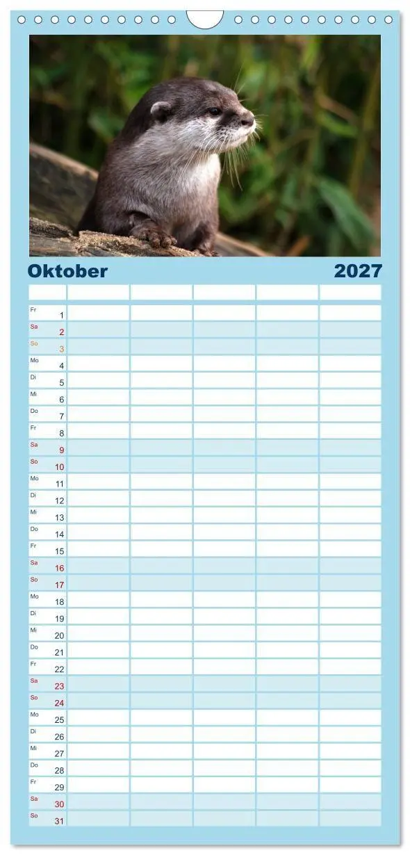 Bild: 9783594337622 | Familienplaner 2027 - Otter. Frech, laut und clever mit 5 Spalten...