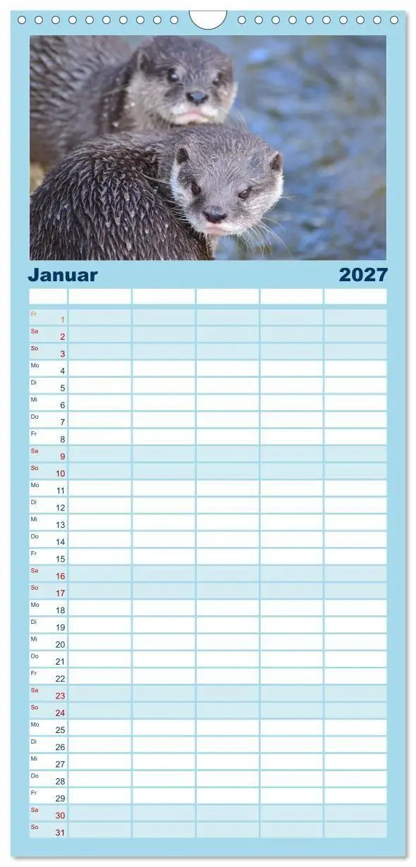 Bild: 9783594337622 | Familienplaner 2027 - Otter. Frech, laut und clever mit 5 Spalten...