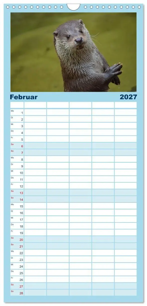 Bild: 9783594337622 | Familienplaner 2027 - Otter. Frech, laut und clever mit 5 Spalten...