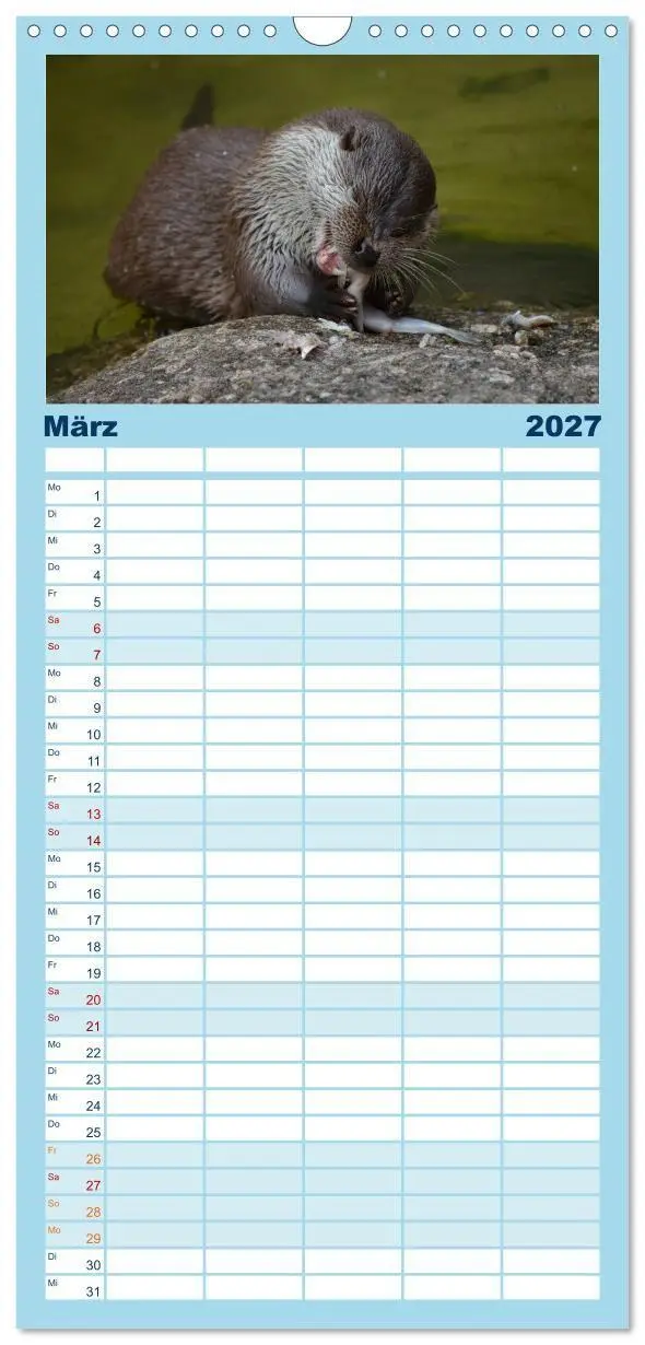 Bild: 9783594337622 | Familienplaner 2027 - Otter. Frech, laut und clever mit 5 Spalten...