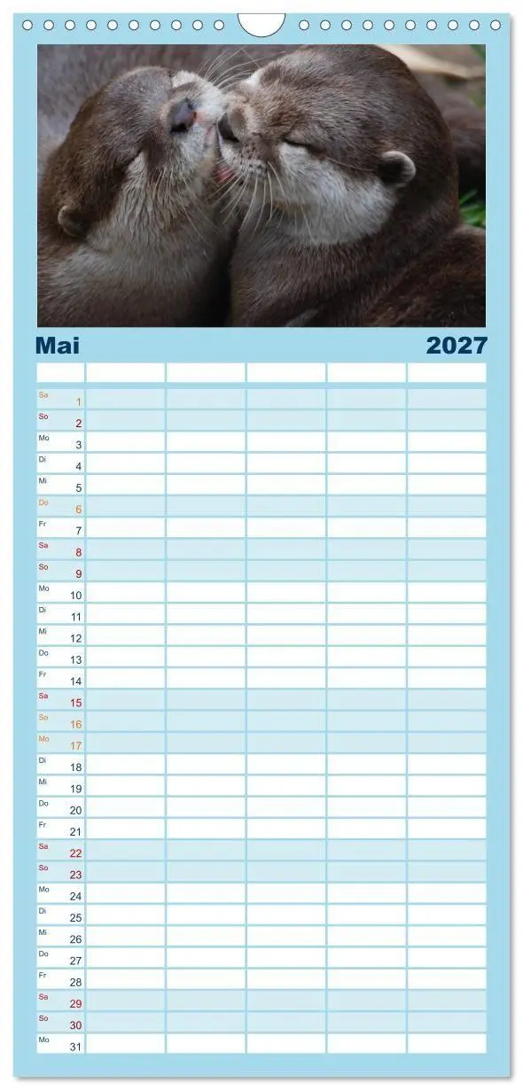 Bild: 9783594337622 | Familienplaner 2027 - Otter. Frech, laut und clever mit 5 Spalten...