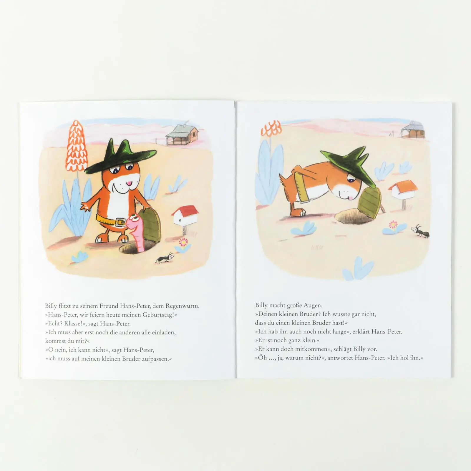 Bild: 9783407757722 | Billy feiert Geburtstag | Vierfarbiges Bilderbuch | Catharina Valckx