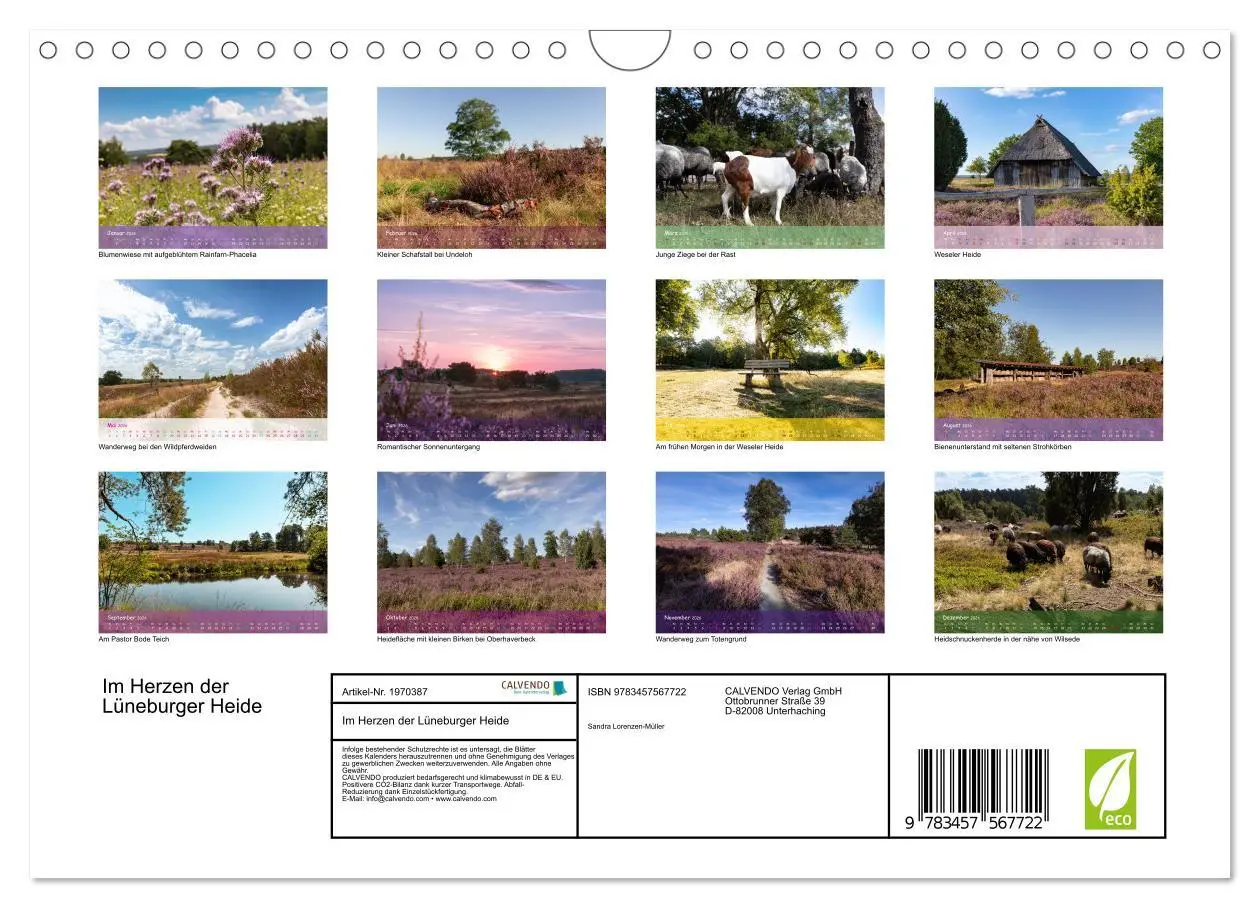 Bild: 9783457567722 | Im Herzen der Lüneburger Heide (Wandkalender 2026 DIN A4 quer),...