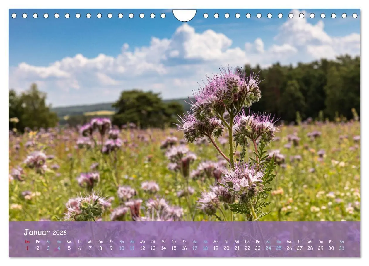 Bild: 9783457567722 | Im Herzen der Lüneburger Heide (Wandkalender 2026 DIN A4 quer),...