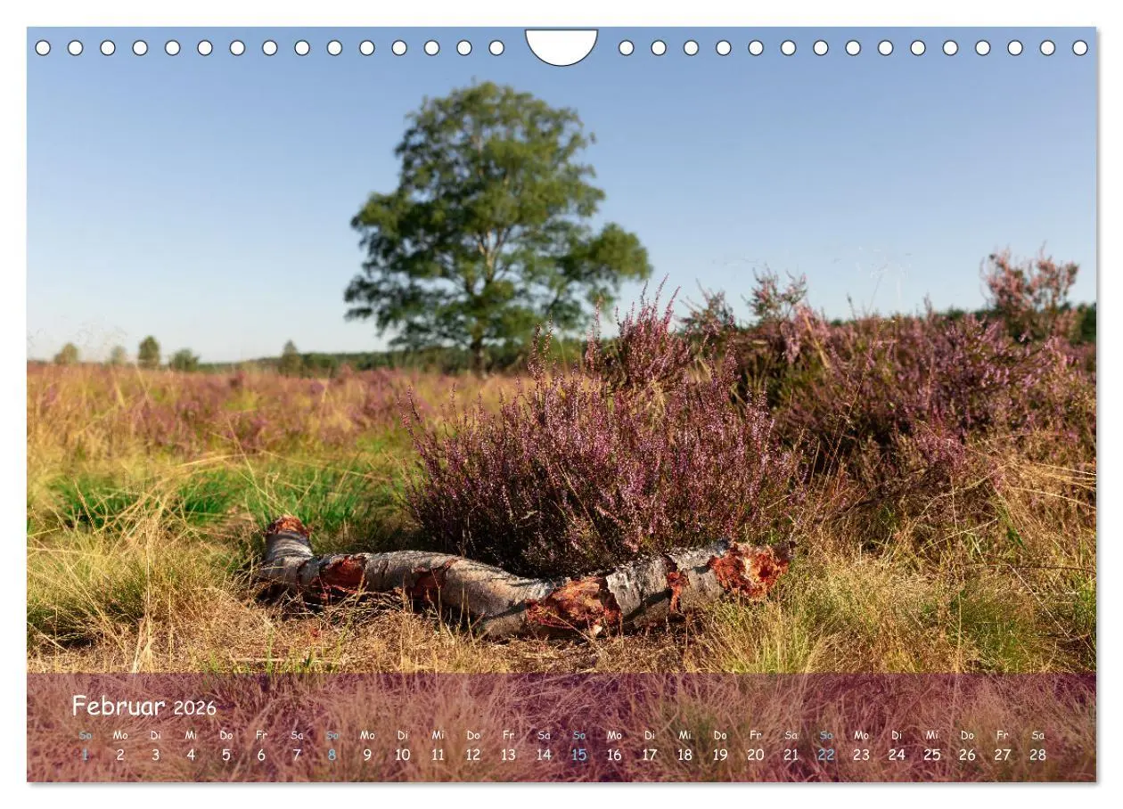 Bild: 9783457567722 | Im Herzen der Lüneburger Heide (Wandkalender 2026 DIN A4 quer),...