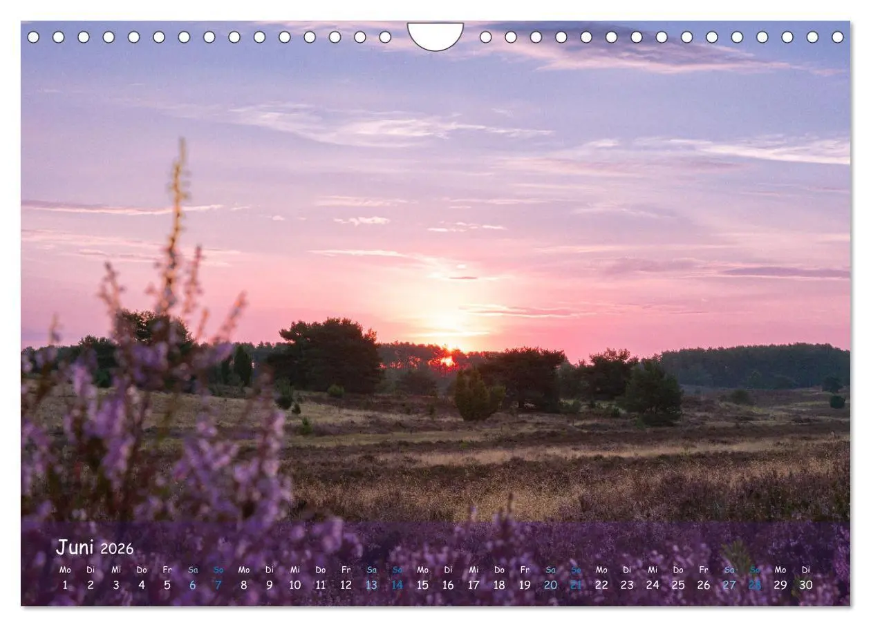 Bild: 9783457567722 | Im Herzen der Lüneburger Heide (Wandkalender 2026 DIN A4 quer),...