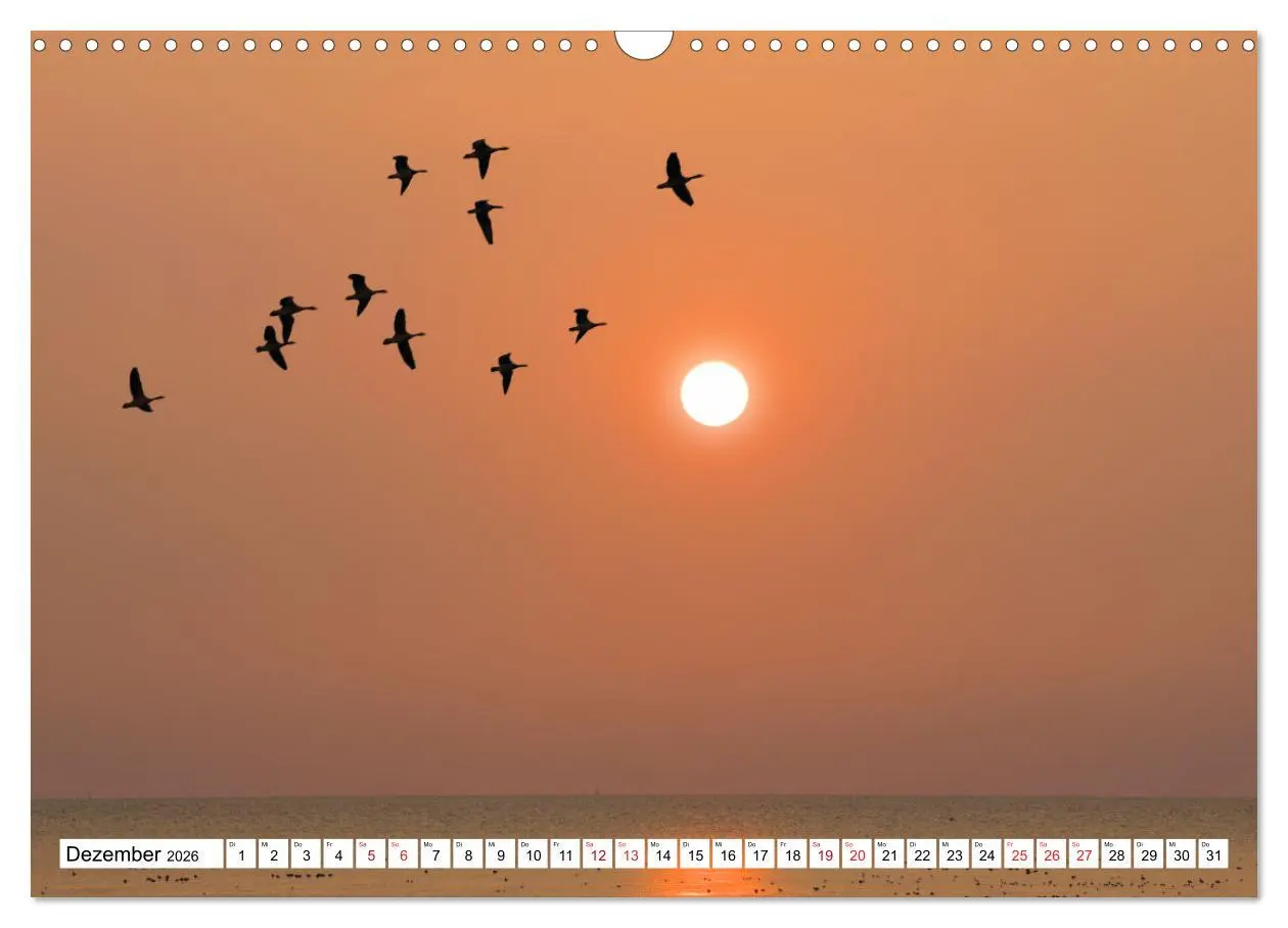 Bild: 9783457637722 | GREETSIEL - Schafe - Krabbenkutter - Möwen (Wandkalender 2026 DIN...