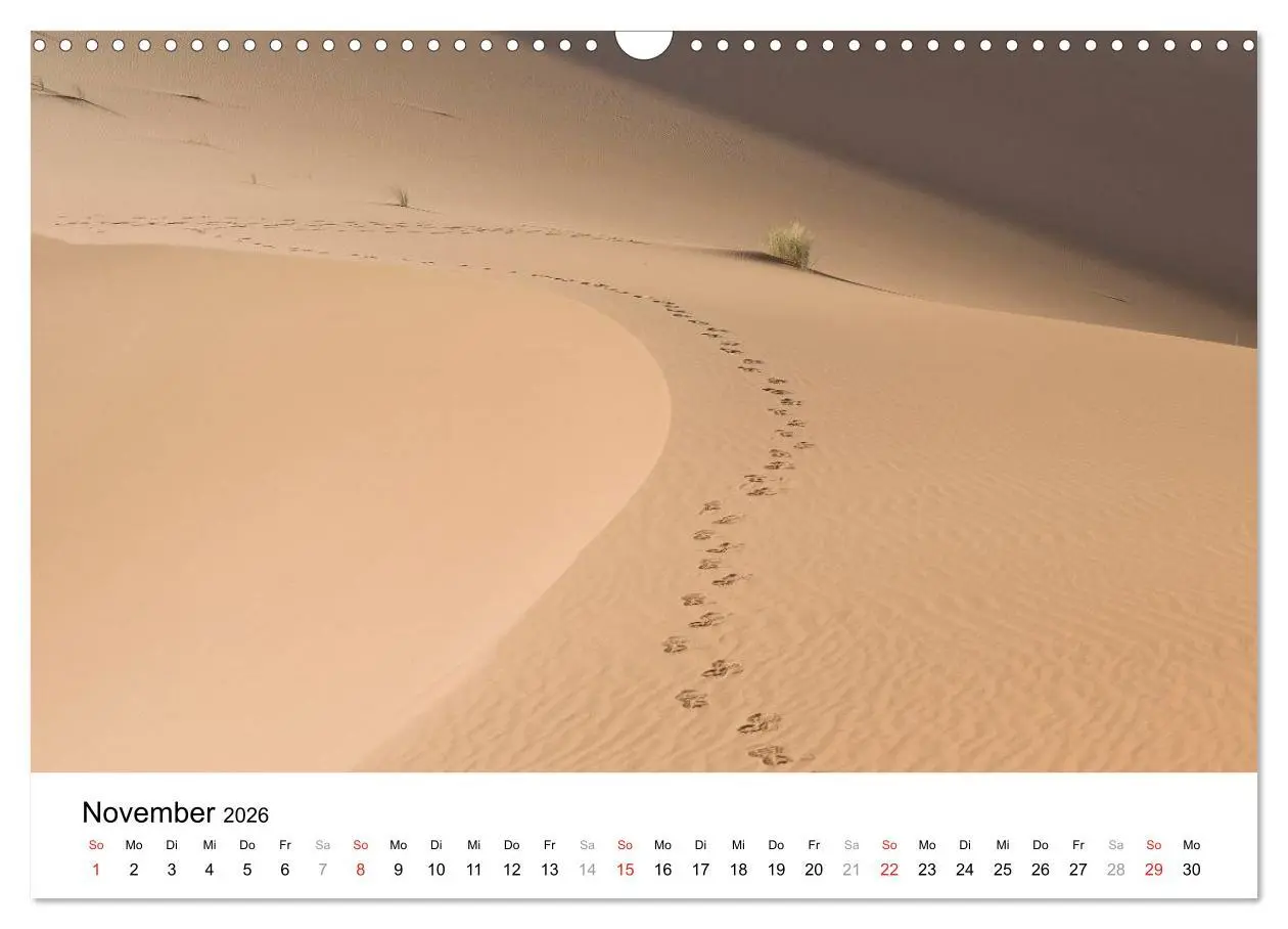 Bild: 9783457947722 | Märchenhaftes Marokko (Wandkalender 2026 DIN A3 quer), CALVENDO...