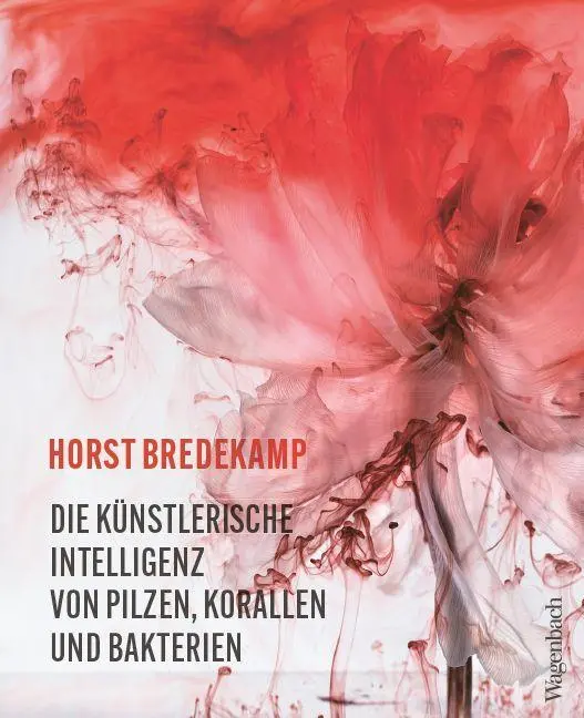 Die künstlerische Intelligenz von Pilzen, Korallen und Bakterien