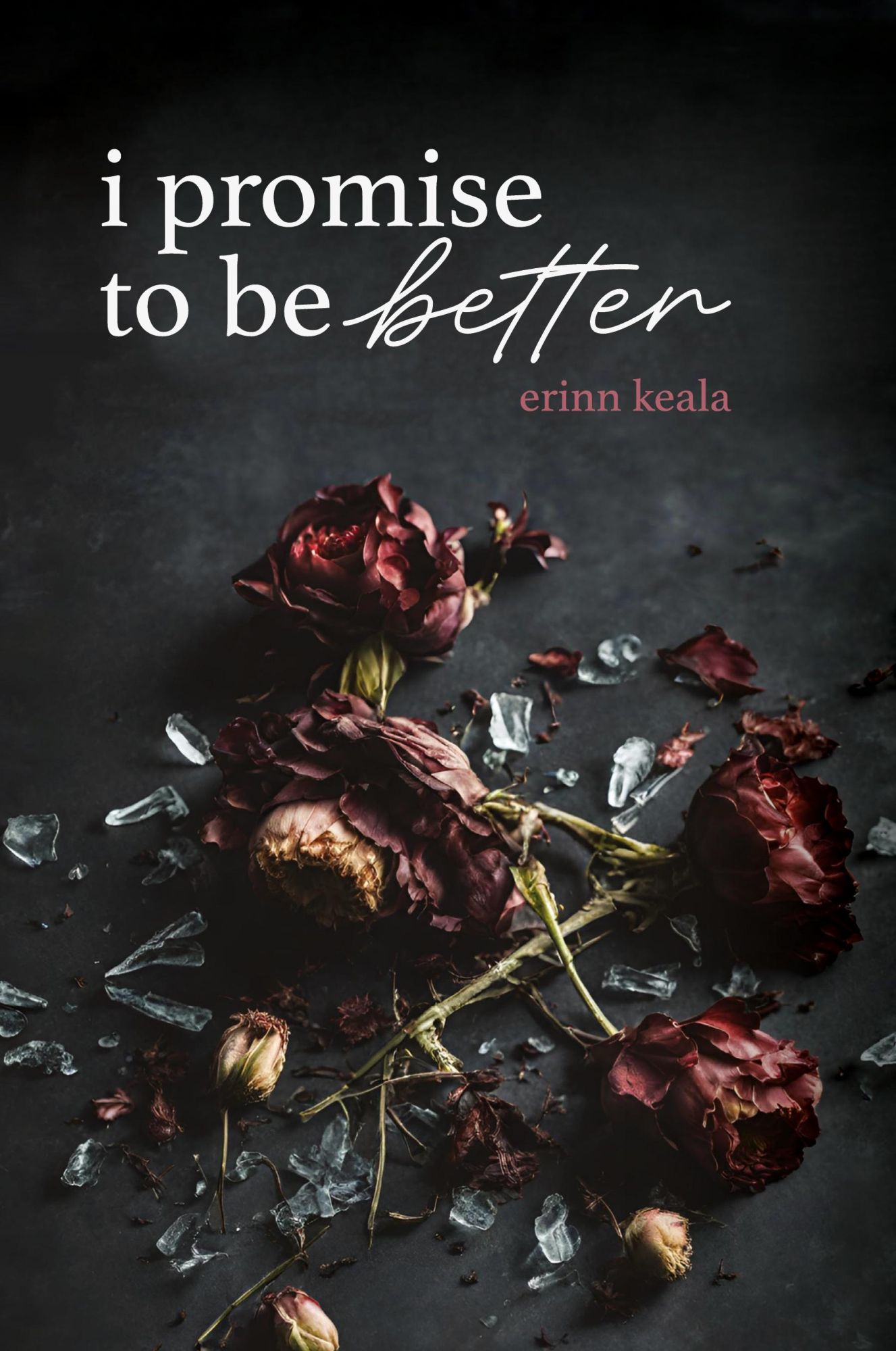 Cover: 9798218397722 | I Promise to Be Better | Erinn Keala | Taschenbuch | Englisch | 2024