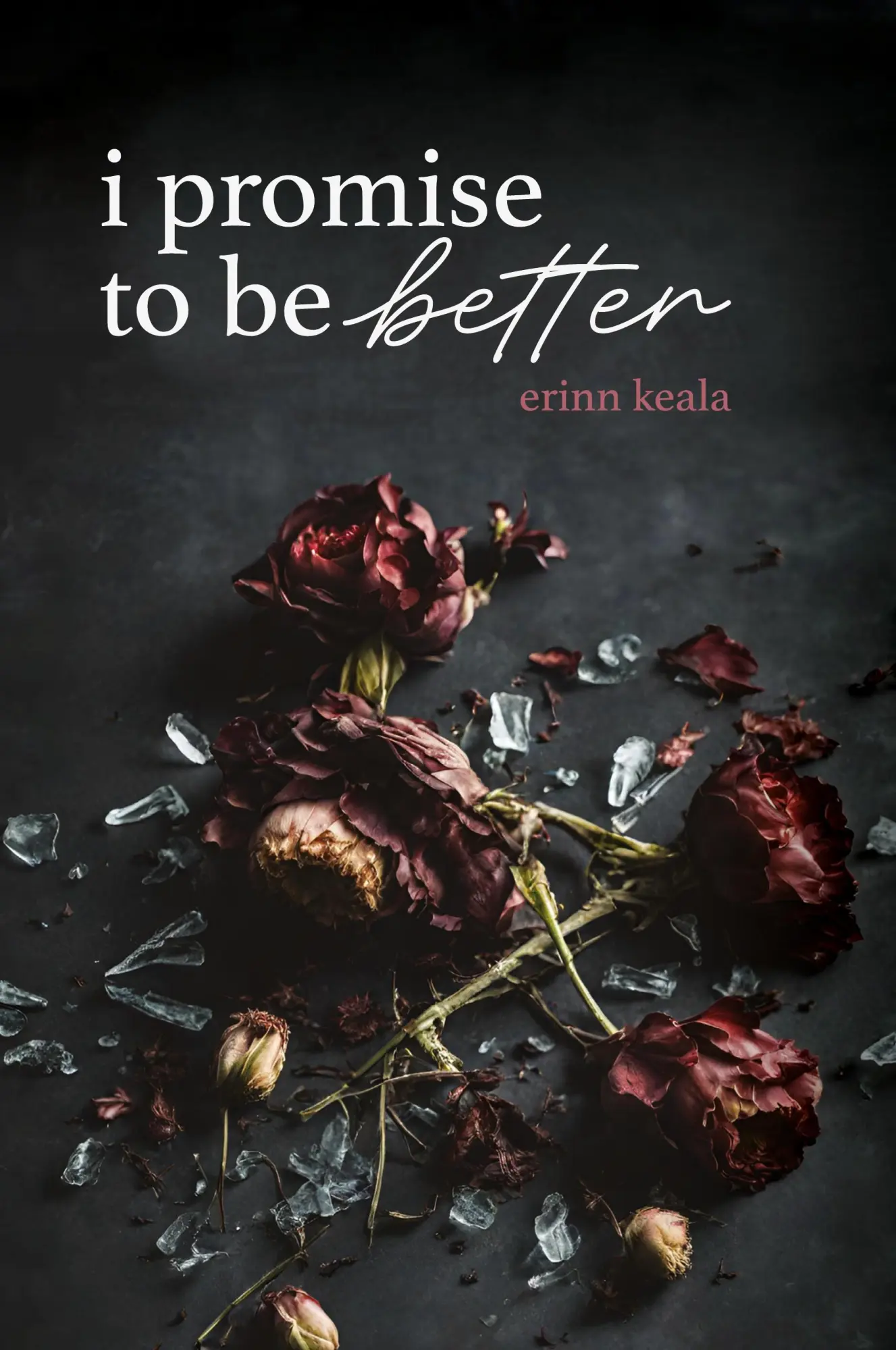 Cover: 9798218397722 | I Promise to Be Better | Erinn Keala | Taschenbuch | Englisch | 2024