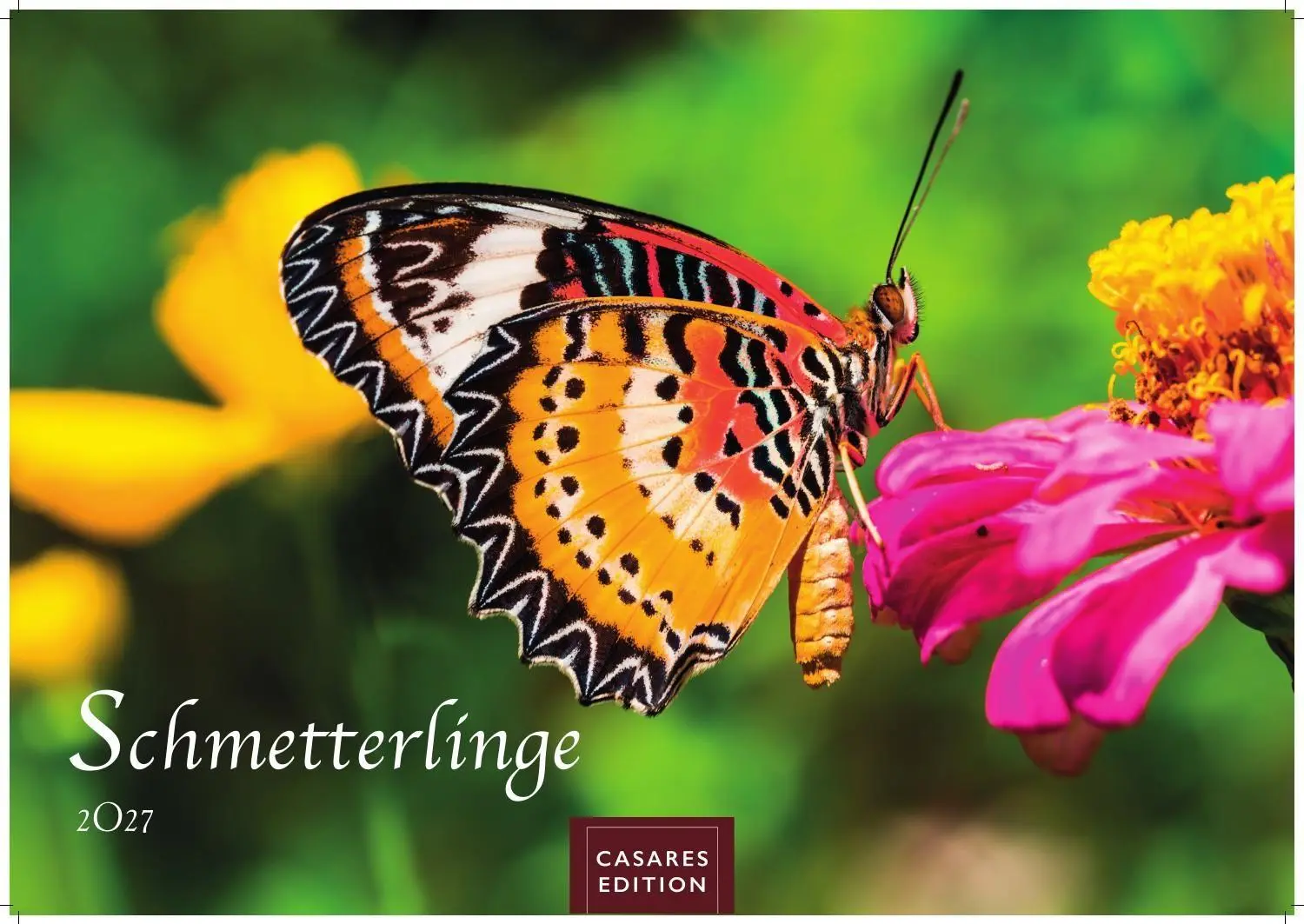 Cover: 9781835247822 | Schmetterlinge Kalender 2027 - Wandkalender Fotokalender...