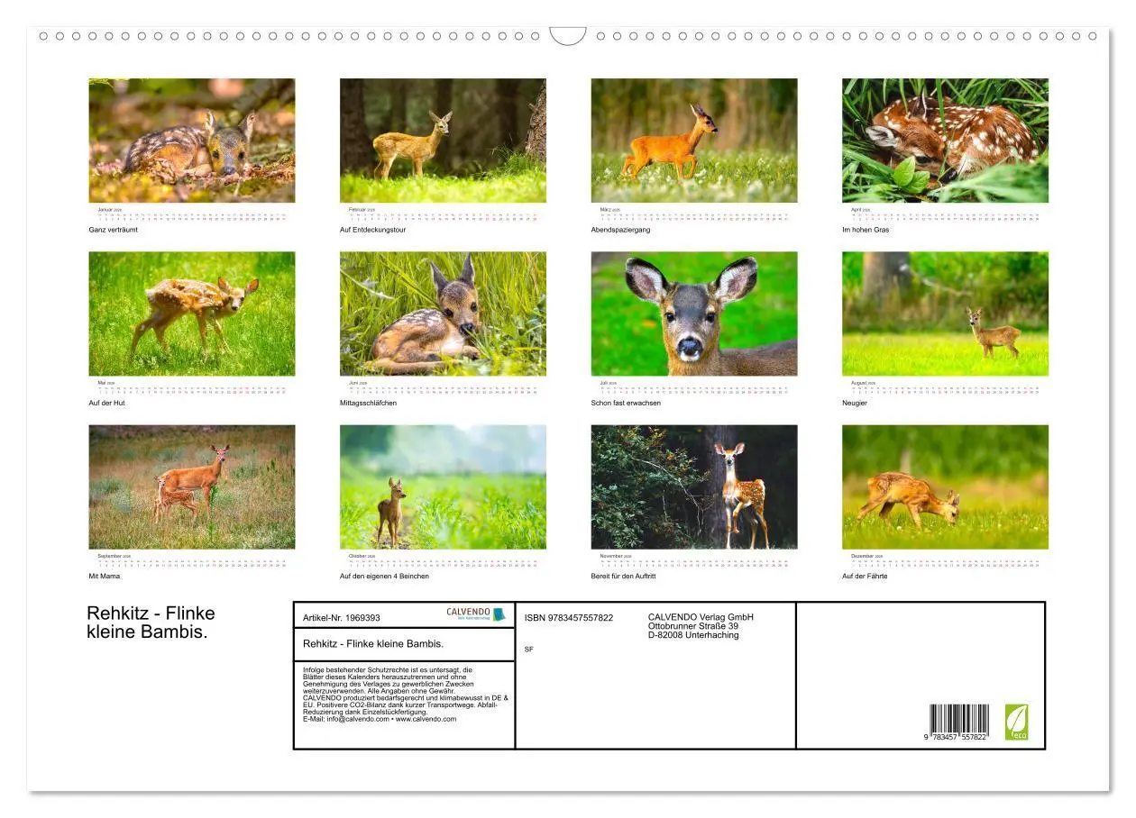Bild: 9783457557822 | Rehkitz - Flinke kleine Bambis. (Wandkalender 2026 DIN A2 quer),...