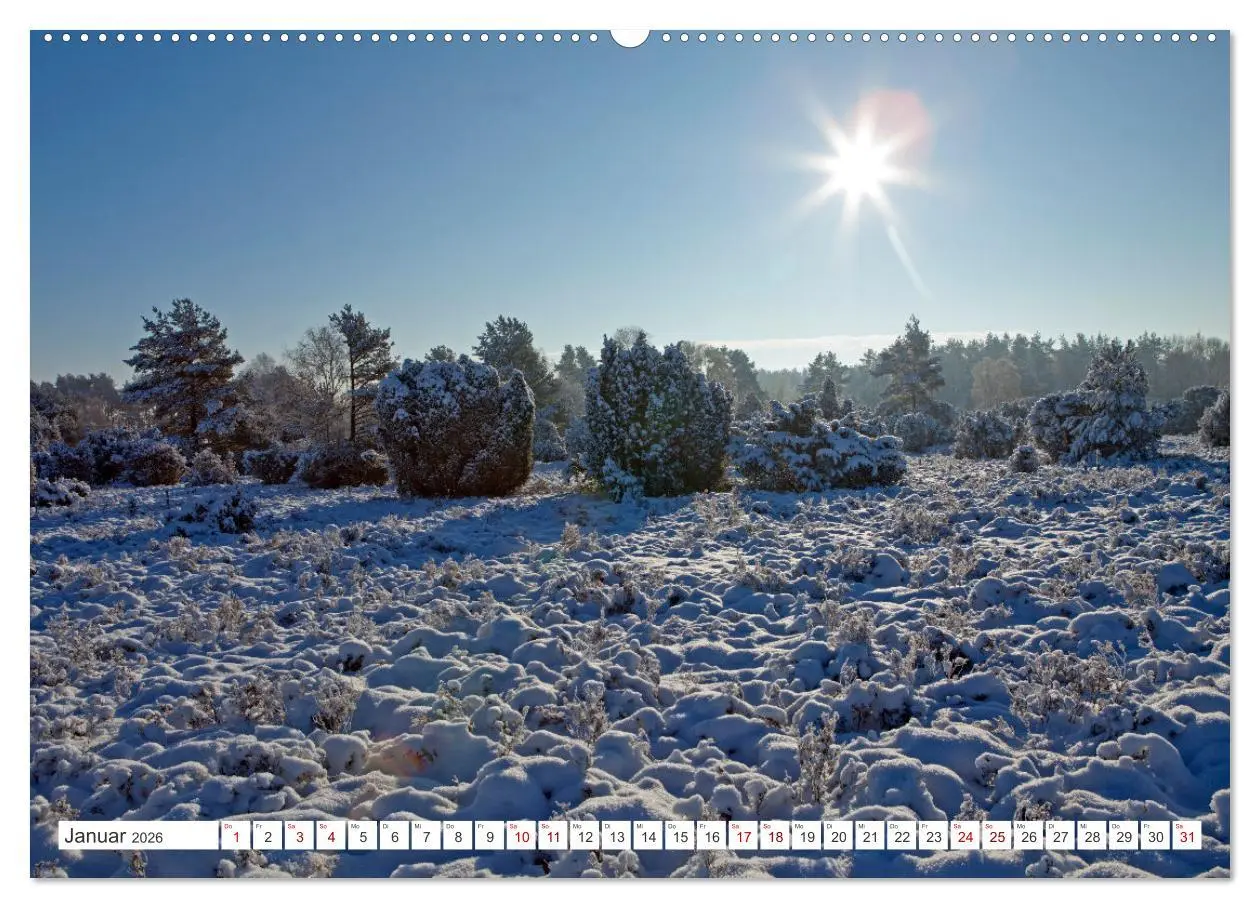 Bild: 9783457627822 | Die Lüneburger Heide - Ausflugsziel im Norden (Wandkalender 2026...
