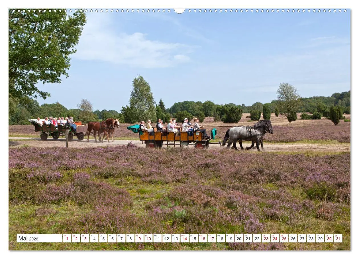 Bild: 9783457627822 | Die Lüneburger Heide - Ausflugsziel im Norden (Wandkalender 2026...