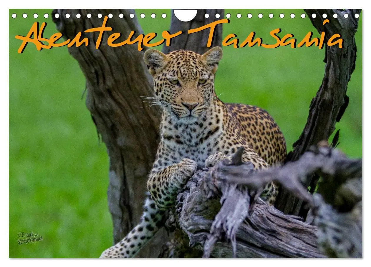 Cover: 9783516197822 | Abenteuer Tansania, Afrika (Wandkalender 2026 DIN A4 quer),...