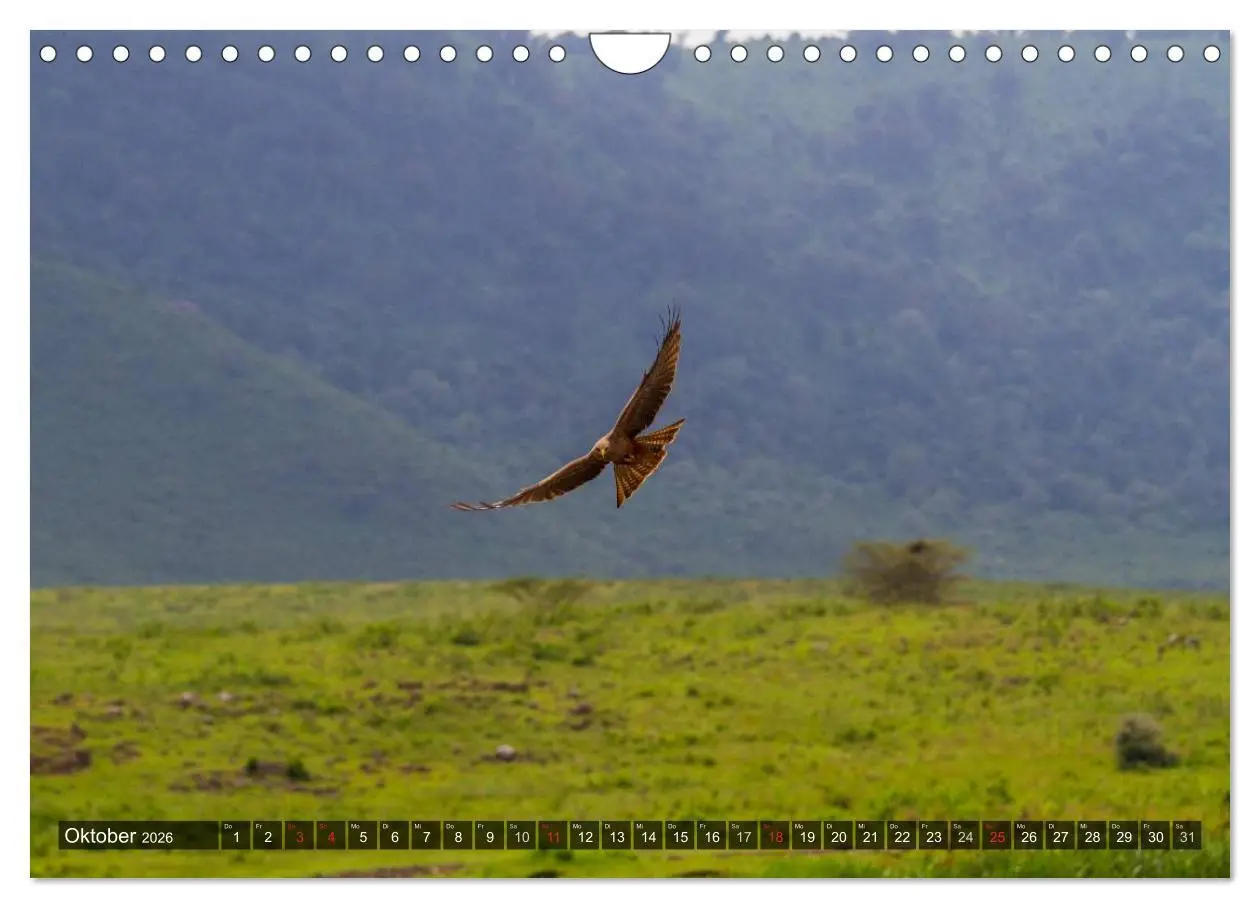 Bild: 9783516197822 | Abenteuer Tansania, Afrika (Wandkalender 2026 DIN A4 quer),...
