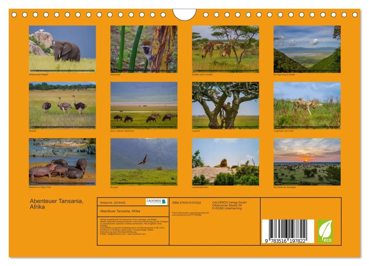 Bild: 9783516197822 | Abenteuer Tansania, Afrika (Wandkalender 2026 DIN A4 quer),...