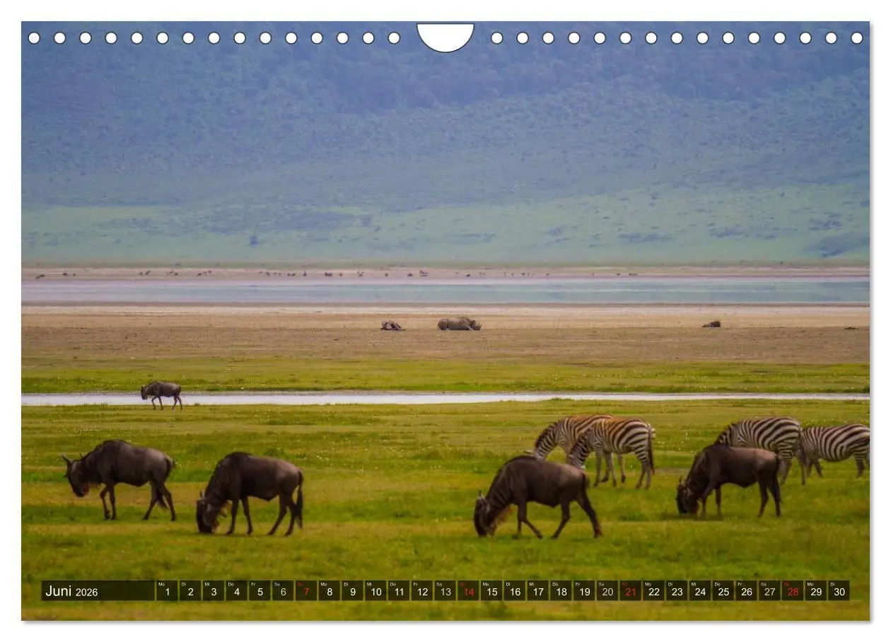 Bild: 9783516197822 | Abenteuer Tansania, Afrika (Wandkalender 2026 DIN A4 quer),...