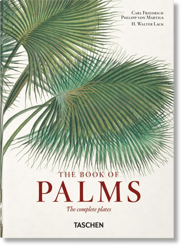 Cover: 9783836587822 | Martius. El libro de las palmeras. 45th Ed. | H. Walter Lack | Buch