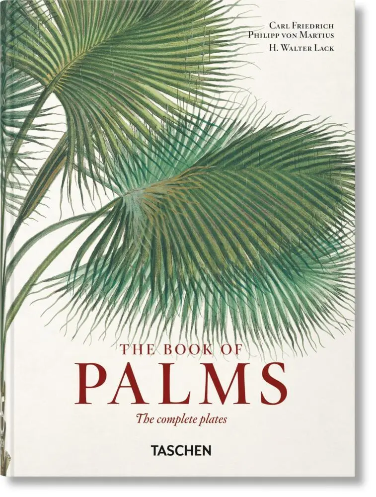 Cover: 9783836587822 | Martius. El libro de las palmeras. 45th Ed. | H. Walter Lack | Buch