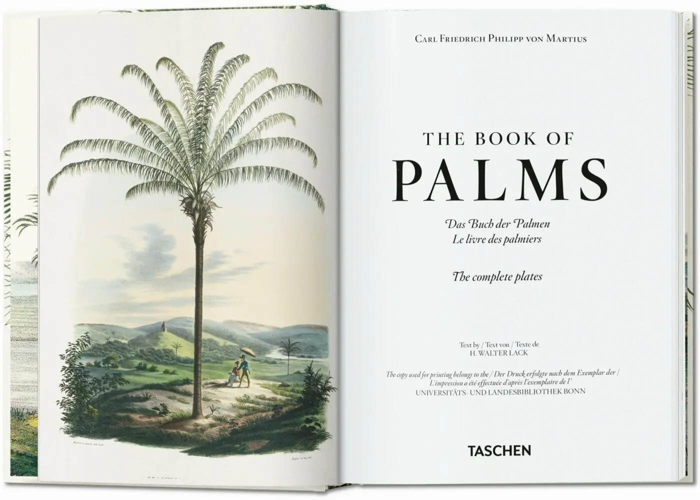 Bild: 9783836587822 | Martius. El libro de las palmeras. 45th Ed. | H. Walter Lack | Buch
