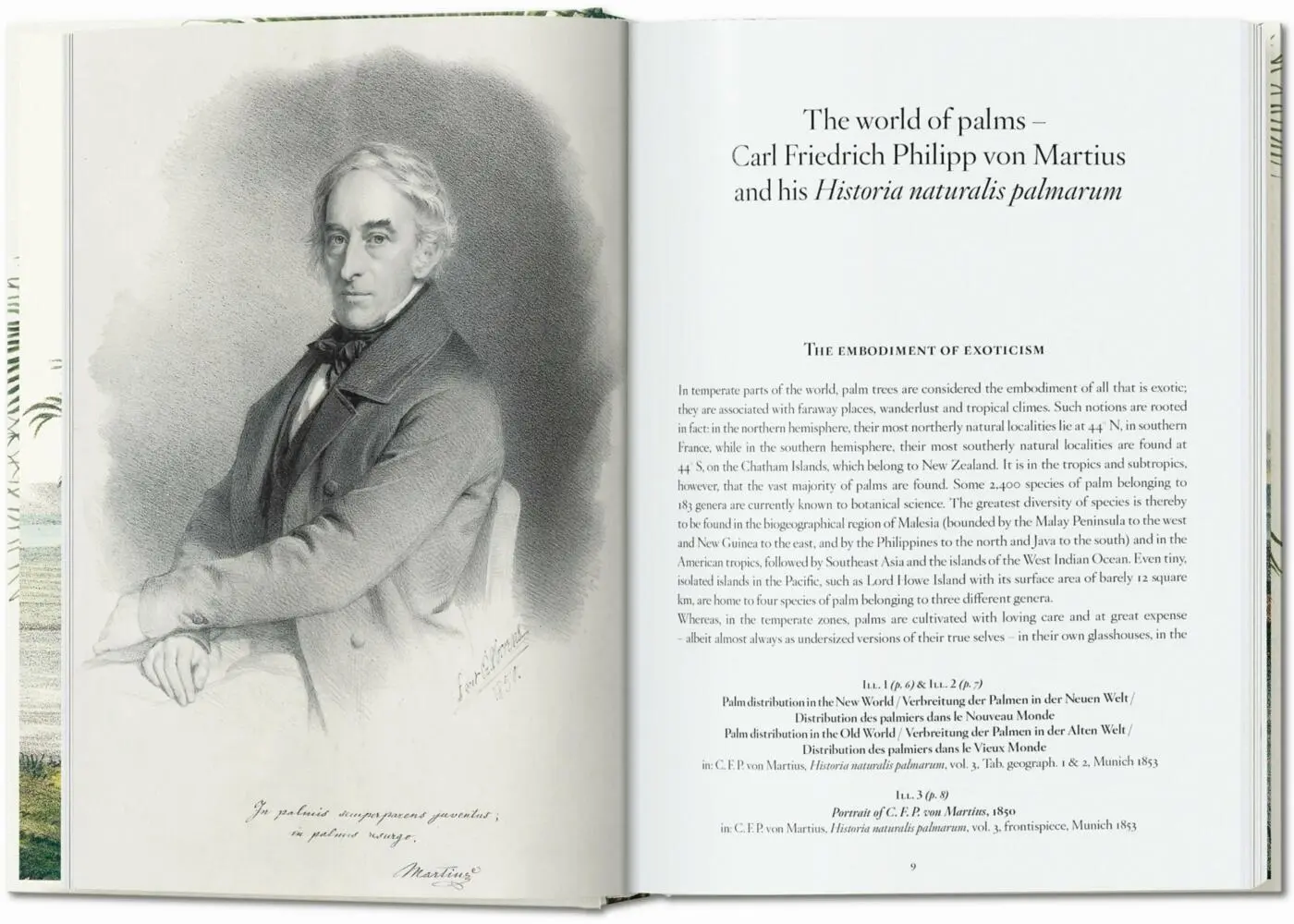 Bild: 9783836587822 | Martius. El libro de las palmeras. 45th Ed. | H. Walter Lack | Buch